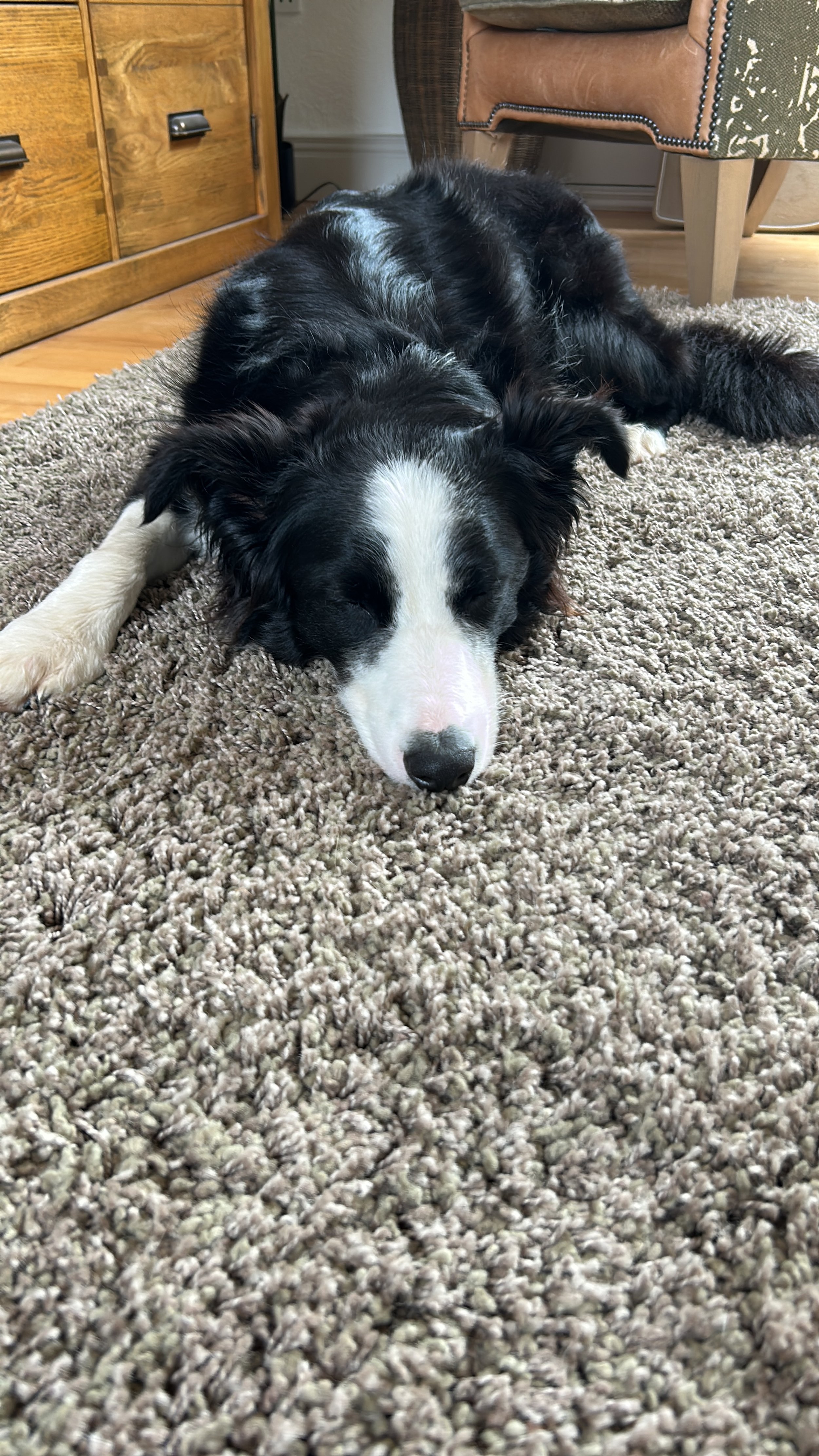 Beanz &amp; His Quirks