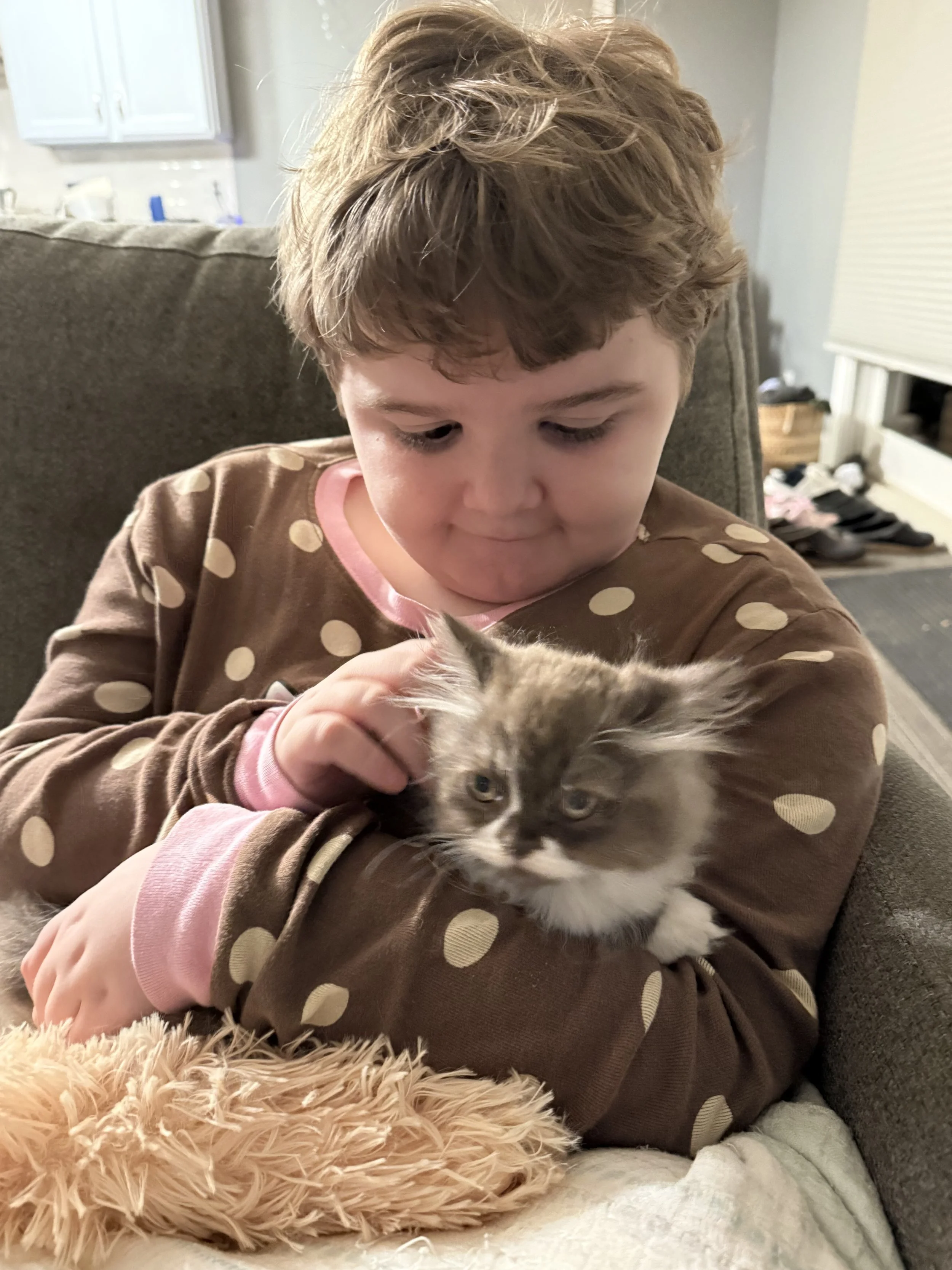 I don’t even like cats….