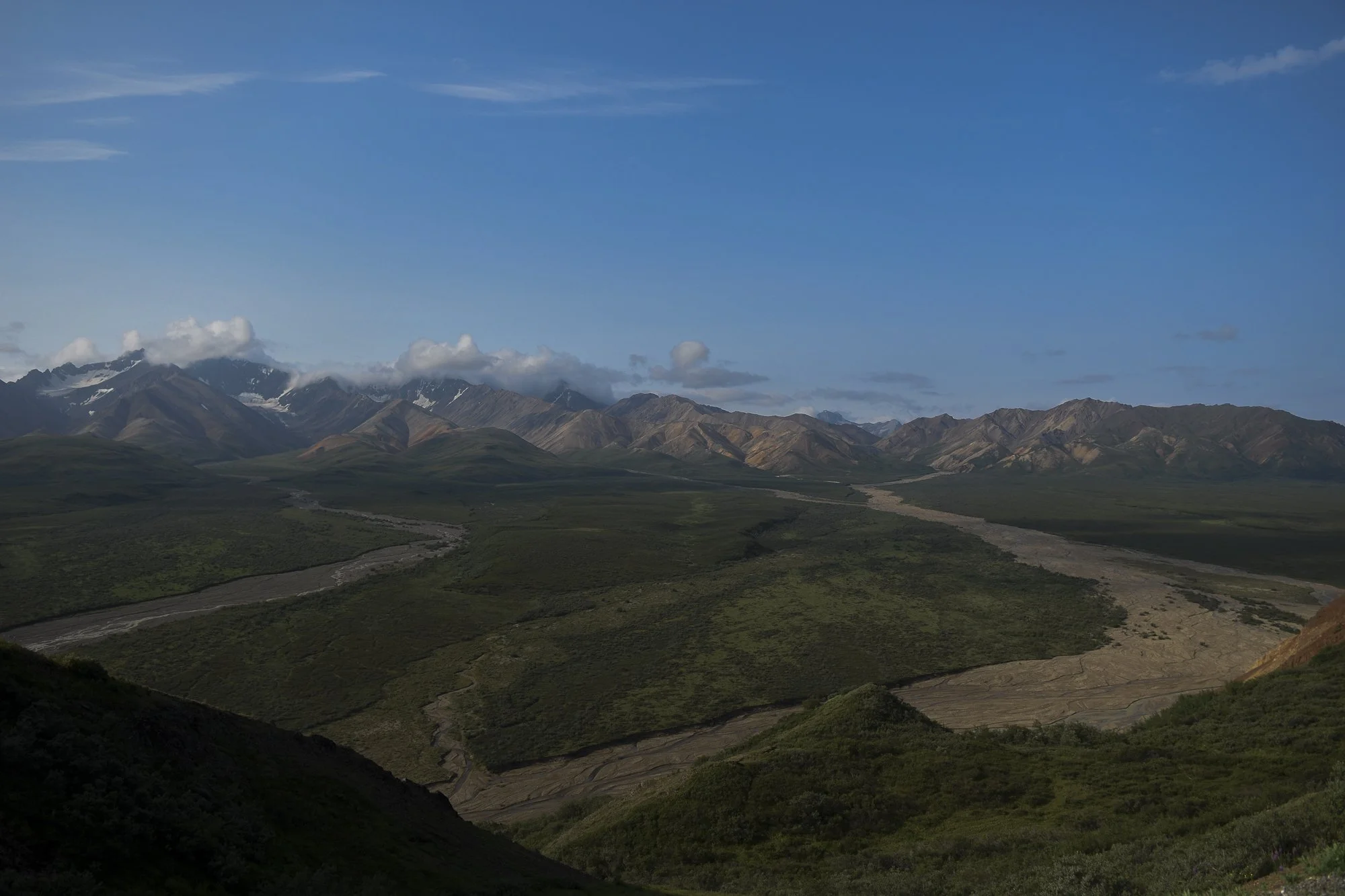 Denali National Park, 2019