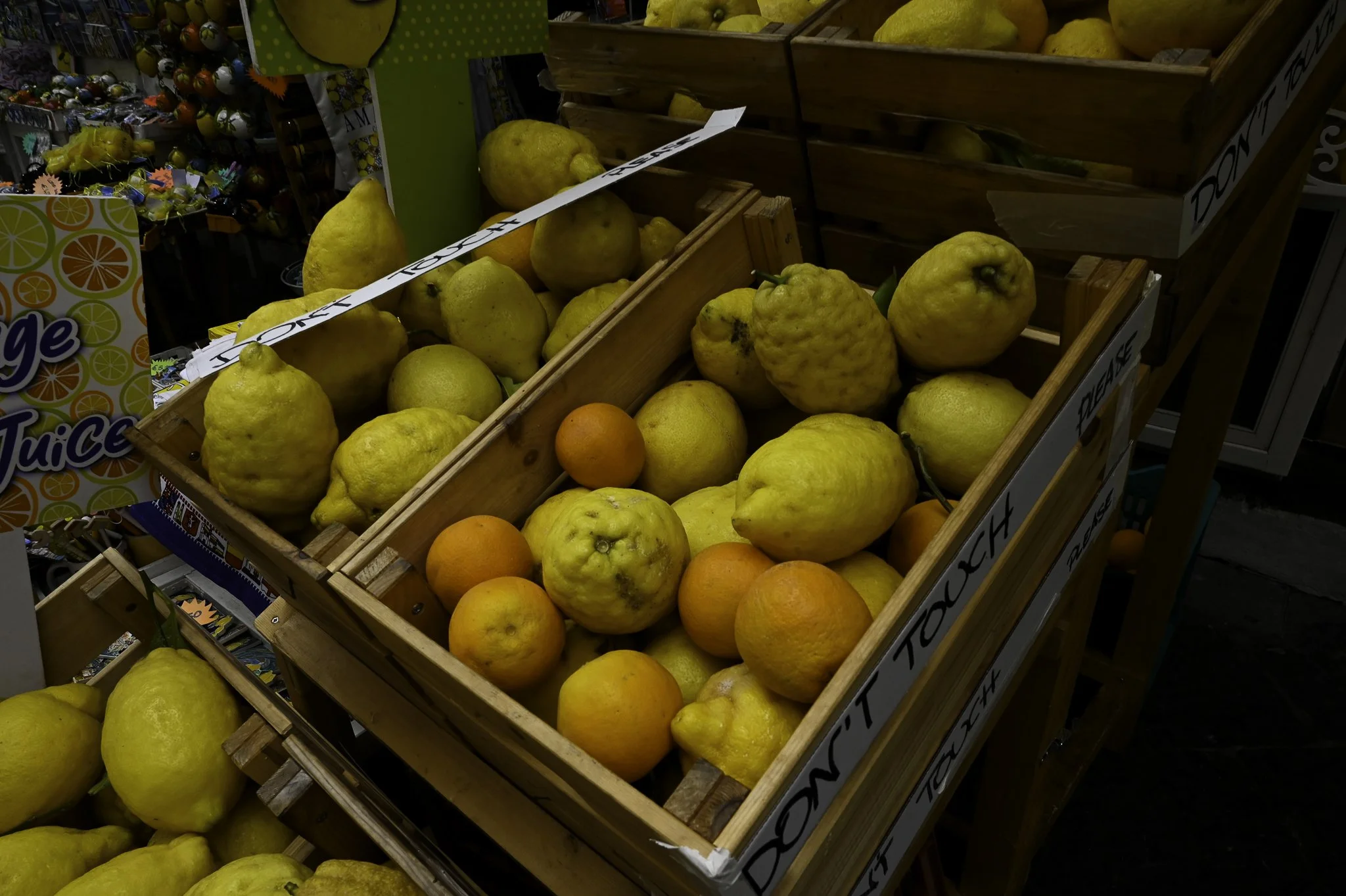 Boxes of lemons and oranges on display at a market.