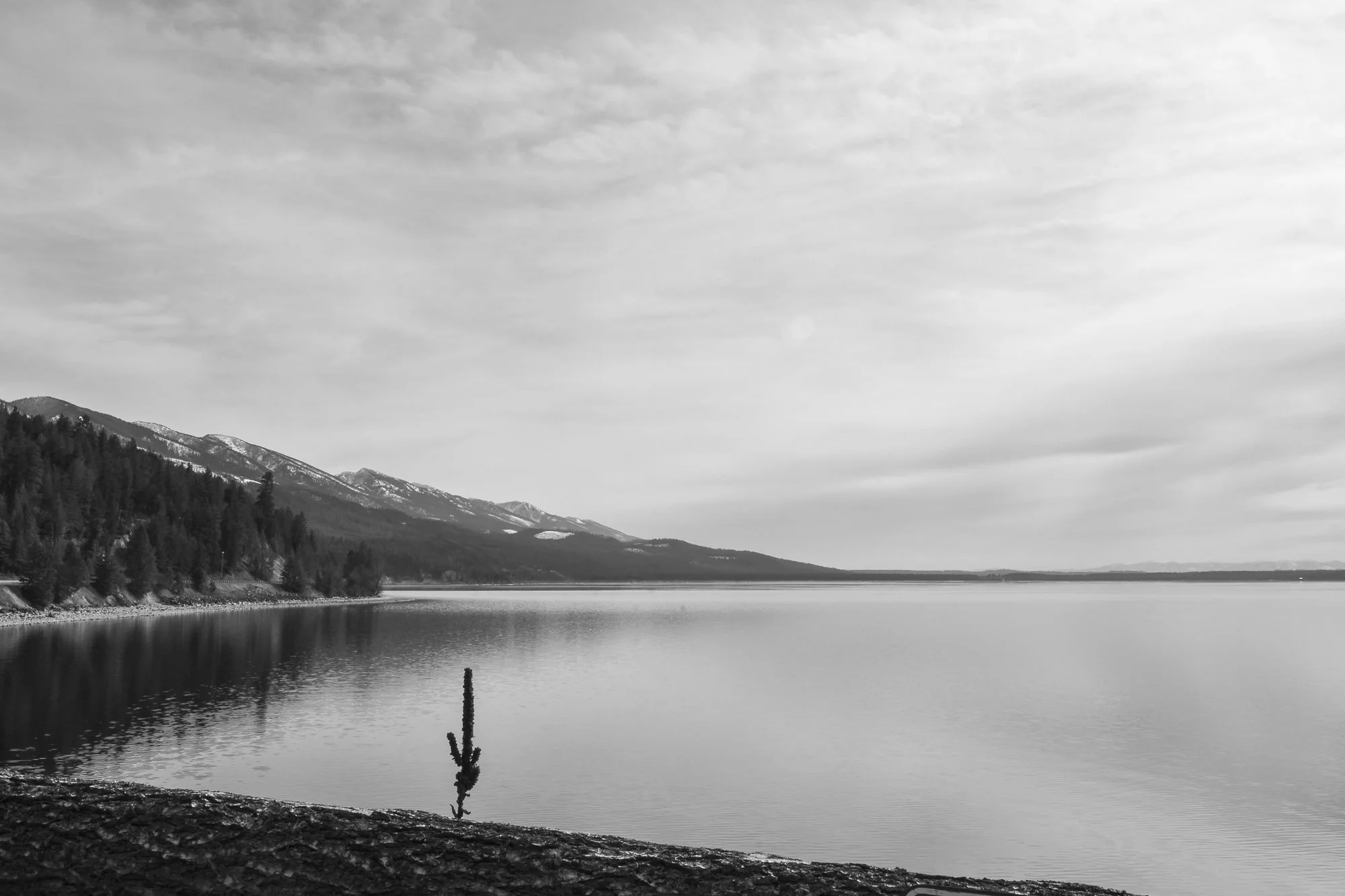 Finley Point, Flathead Lake, 2024