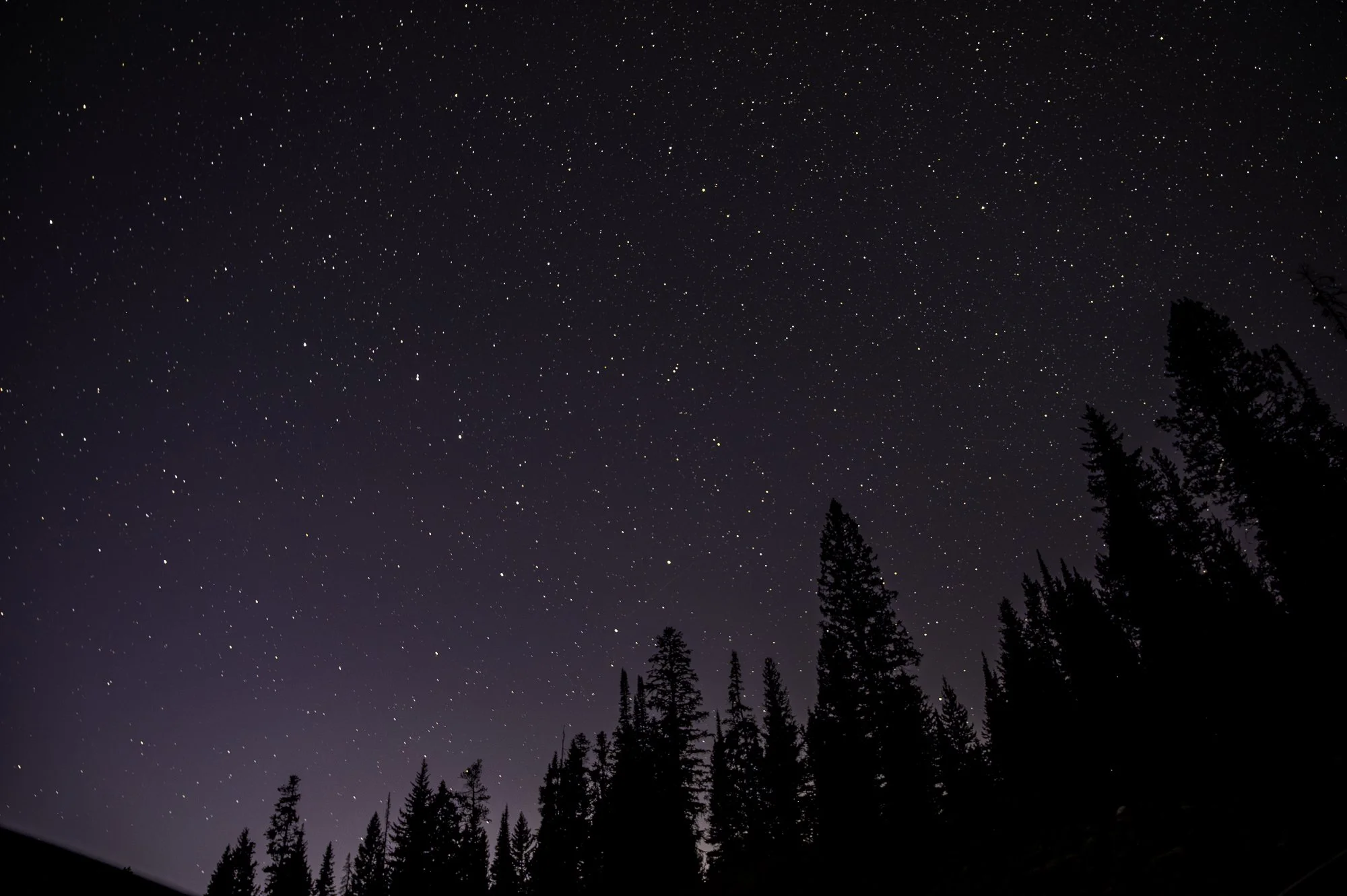 Hyalite Canyon, 2024