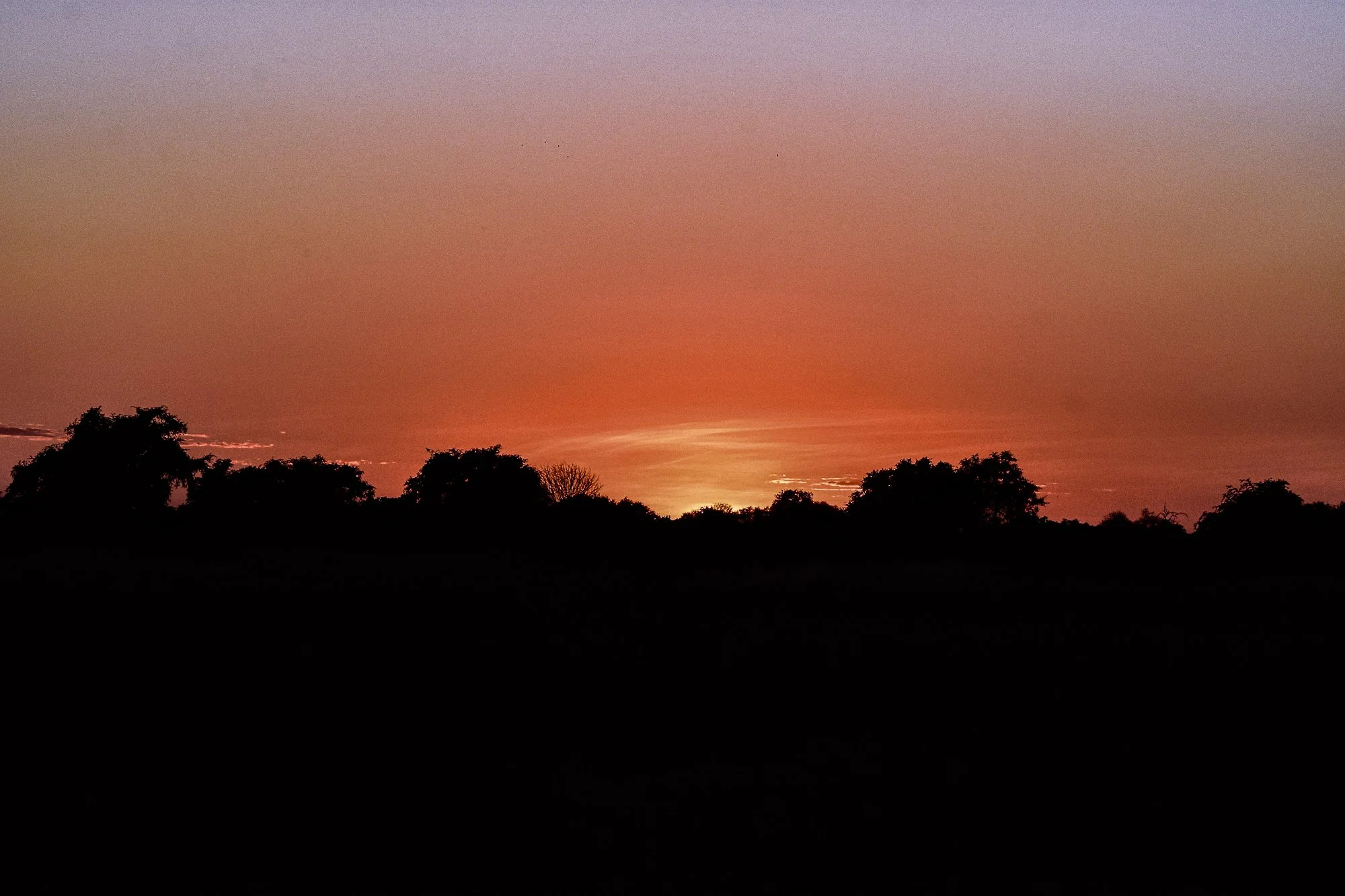 Zambian Sunset