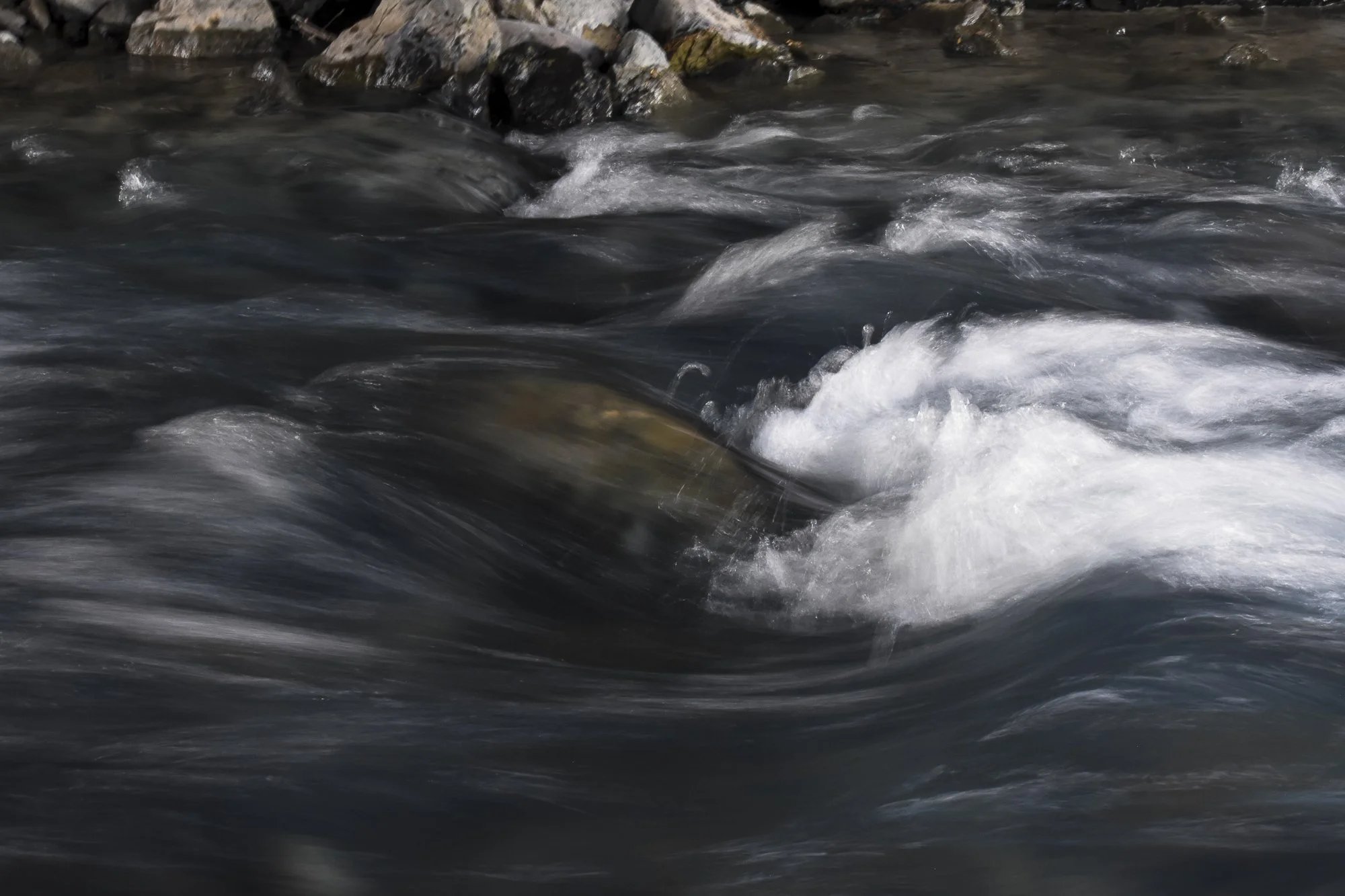 Denali National Park, 2019