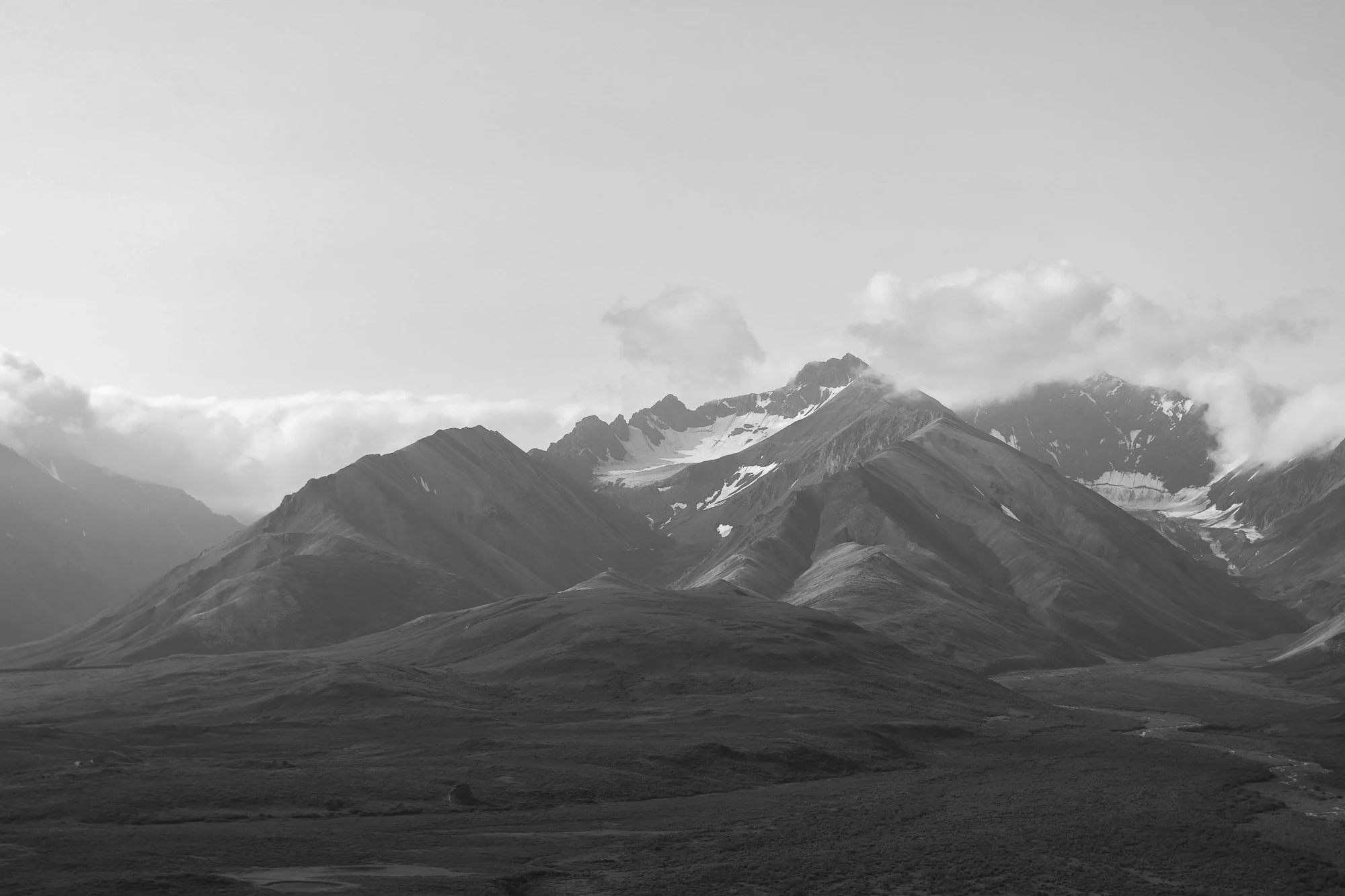Denali National Park, 2019
