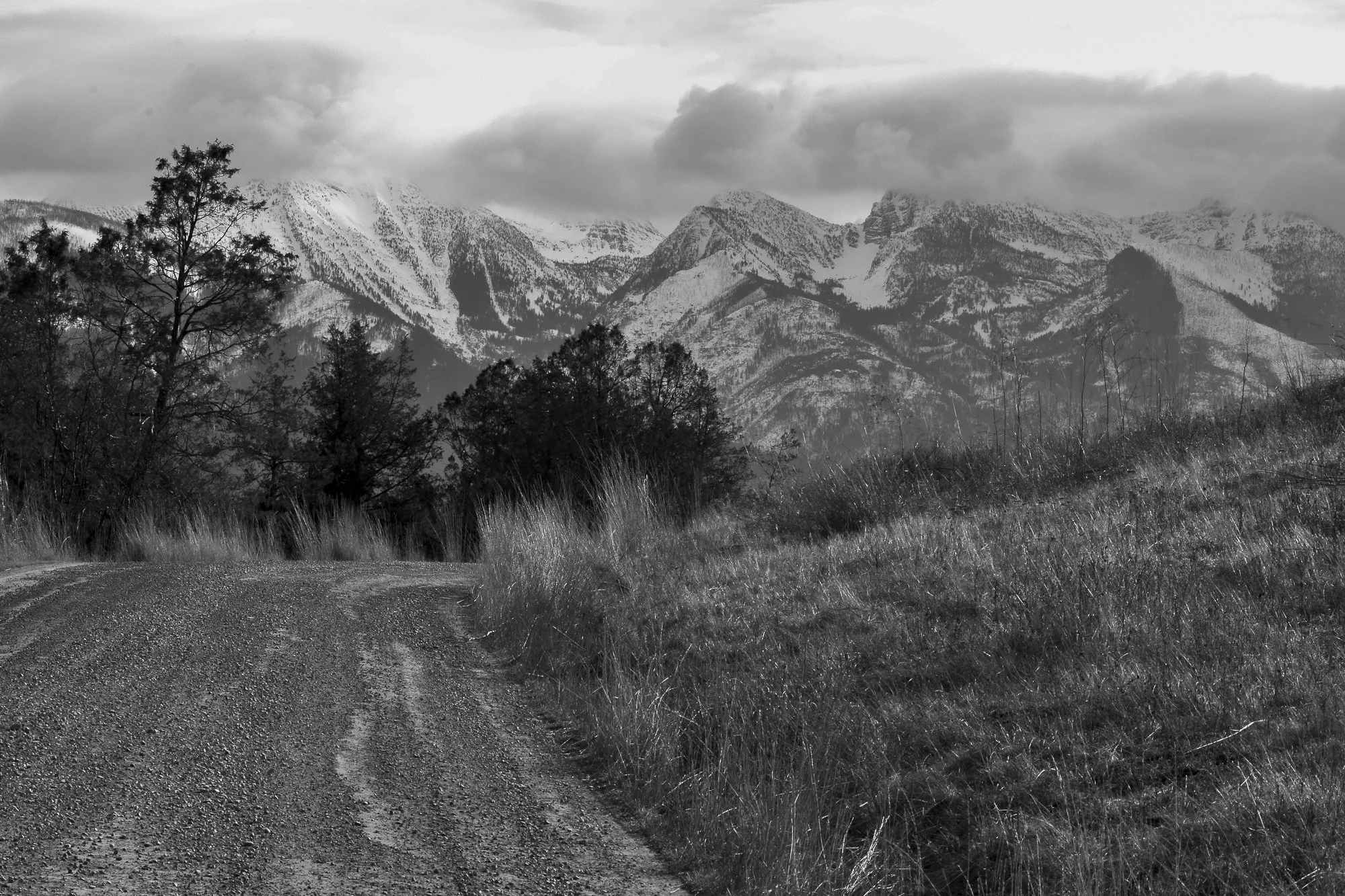 CSKT Bison Range, Flathead Valley, 2024