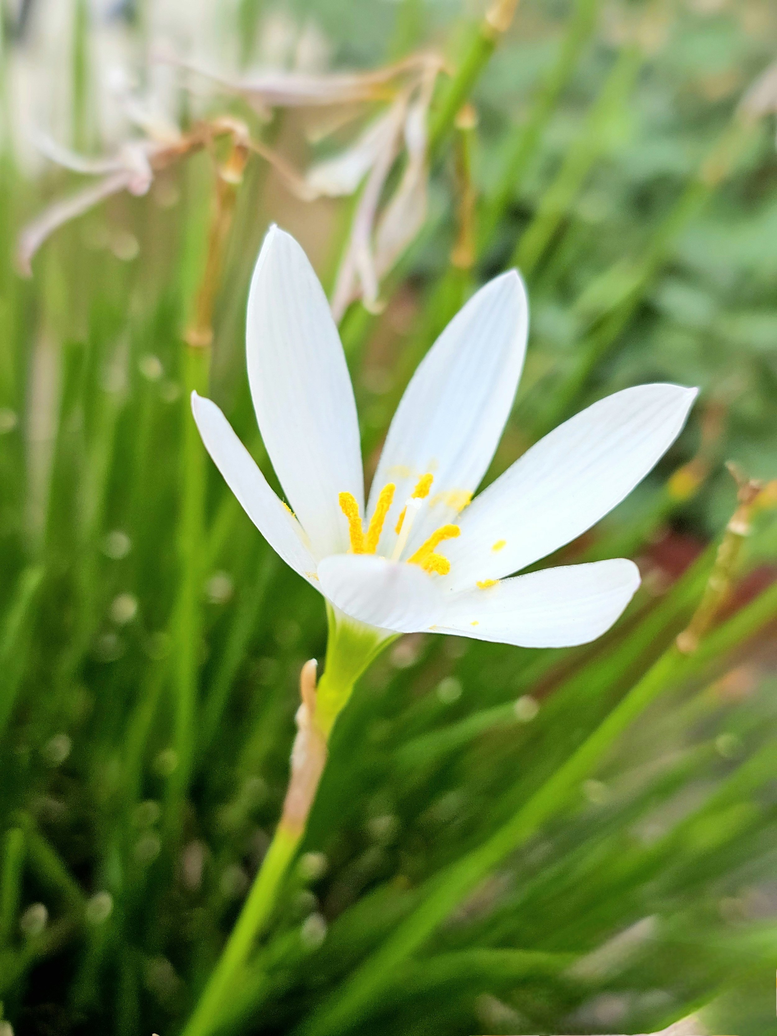 Inclusive, expressive imagery showing individuality and self-assurance — representing authenticity and self-expression.