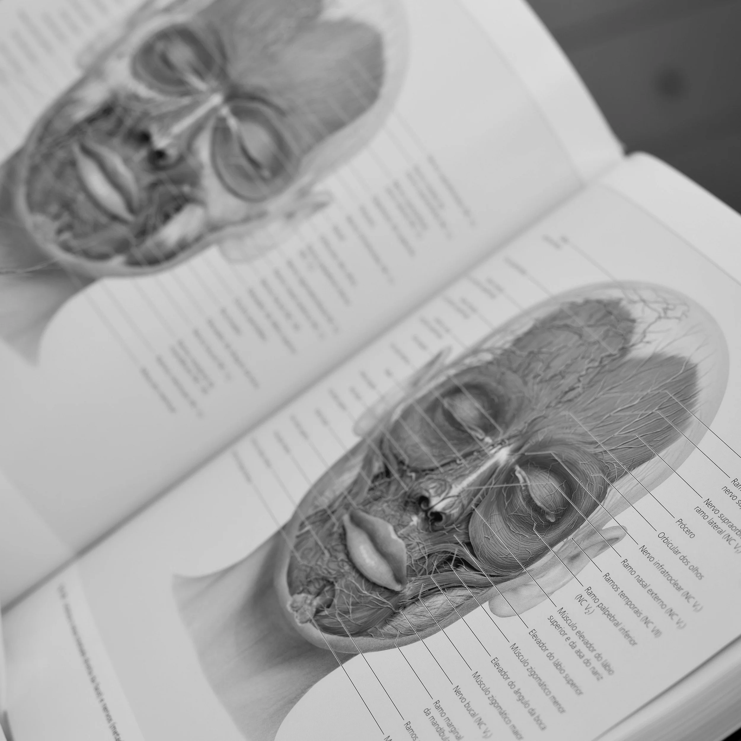 Open book showing anatomical facial structure and symmetry studies related to permanent makeup design.