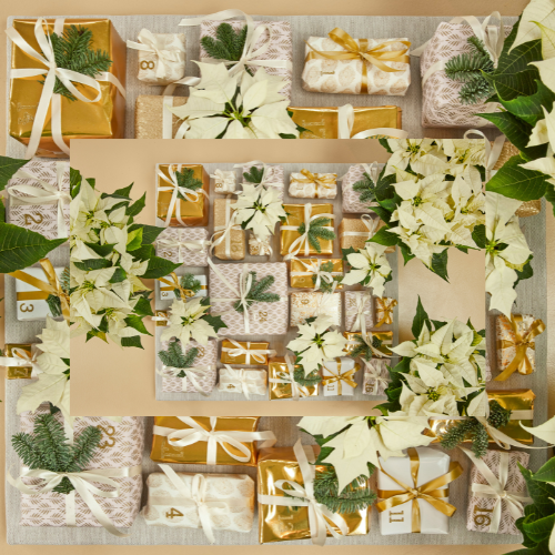 £350 Gift Certificate