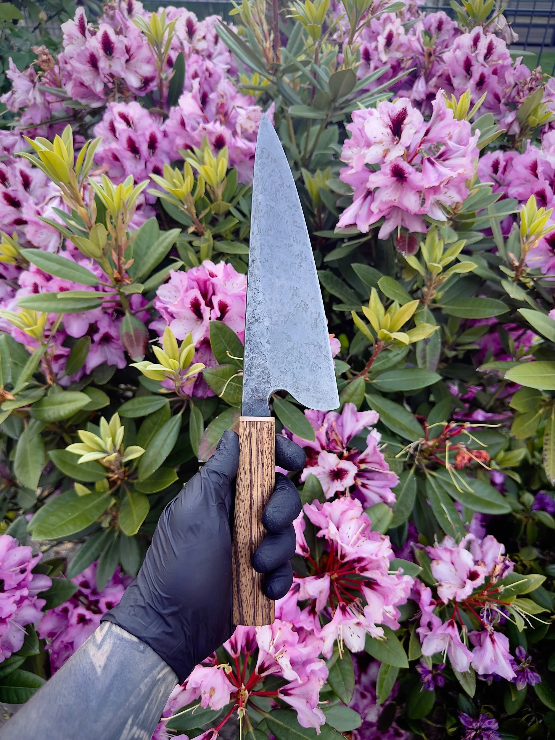 225 mm Gyuto