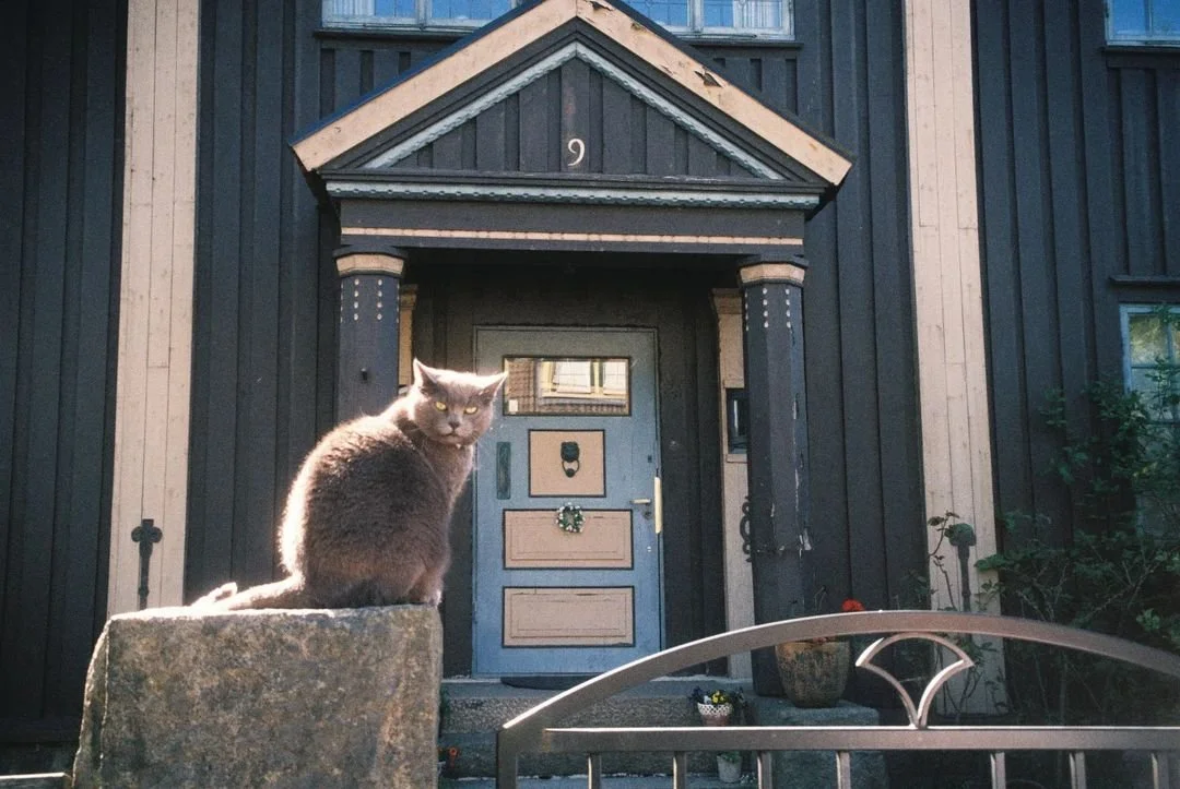 People and places in Sweden.webp