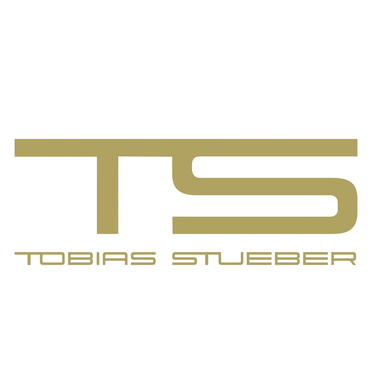 Tobias Stüber Performance Coach