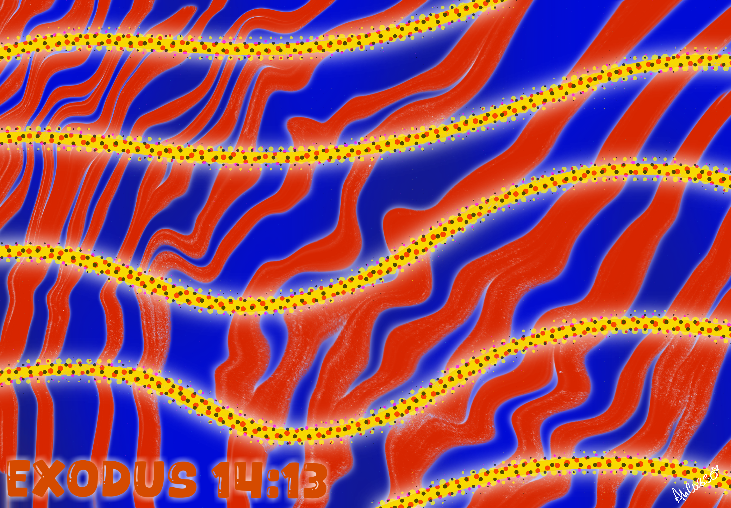 IMG_0564.png