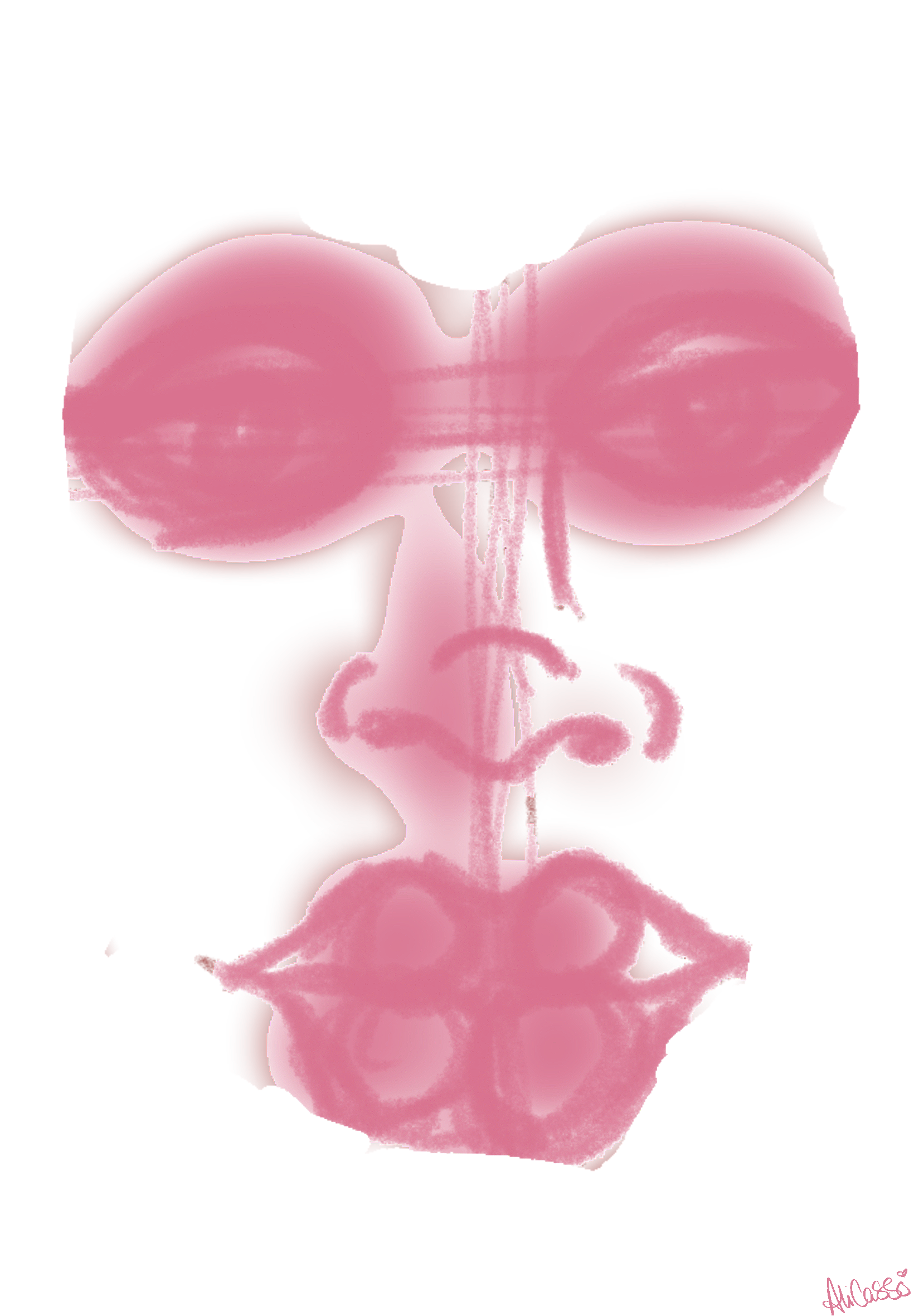 IMG_0560.png