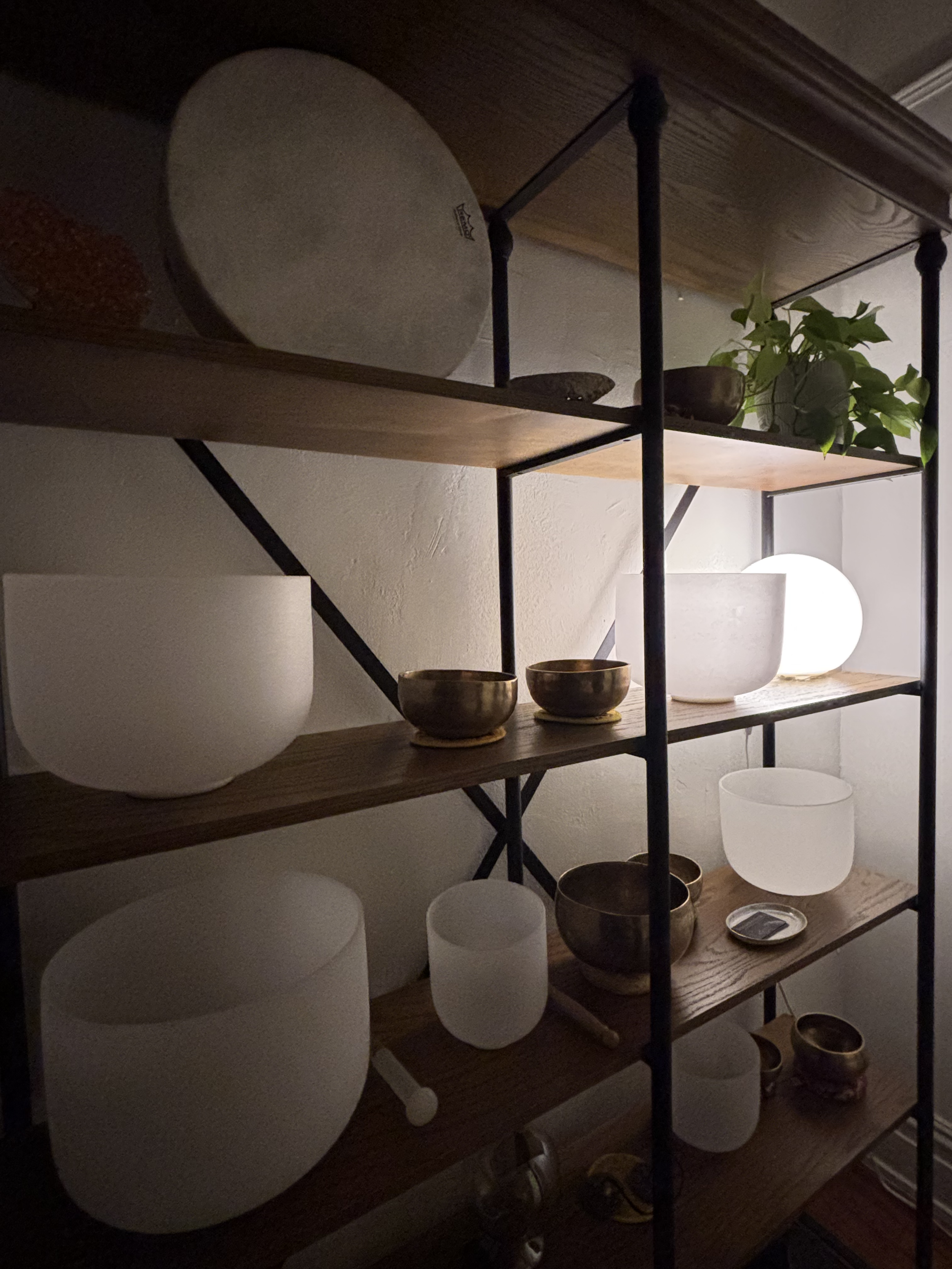 field notes from the sanctuary | january 2026