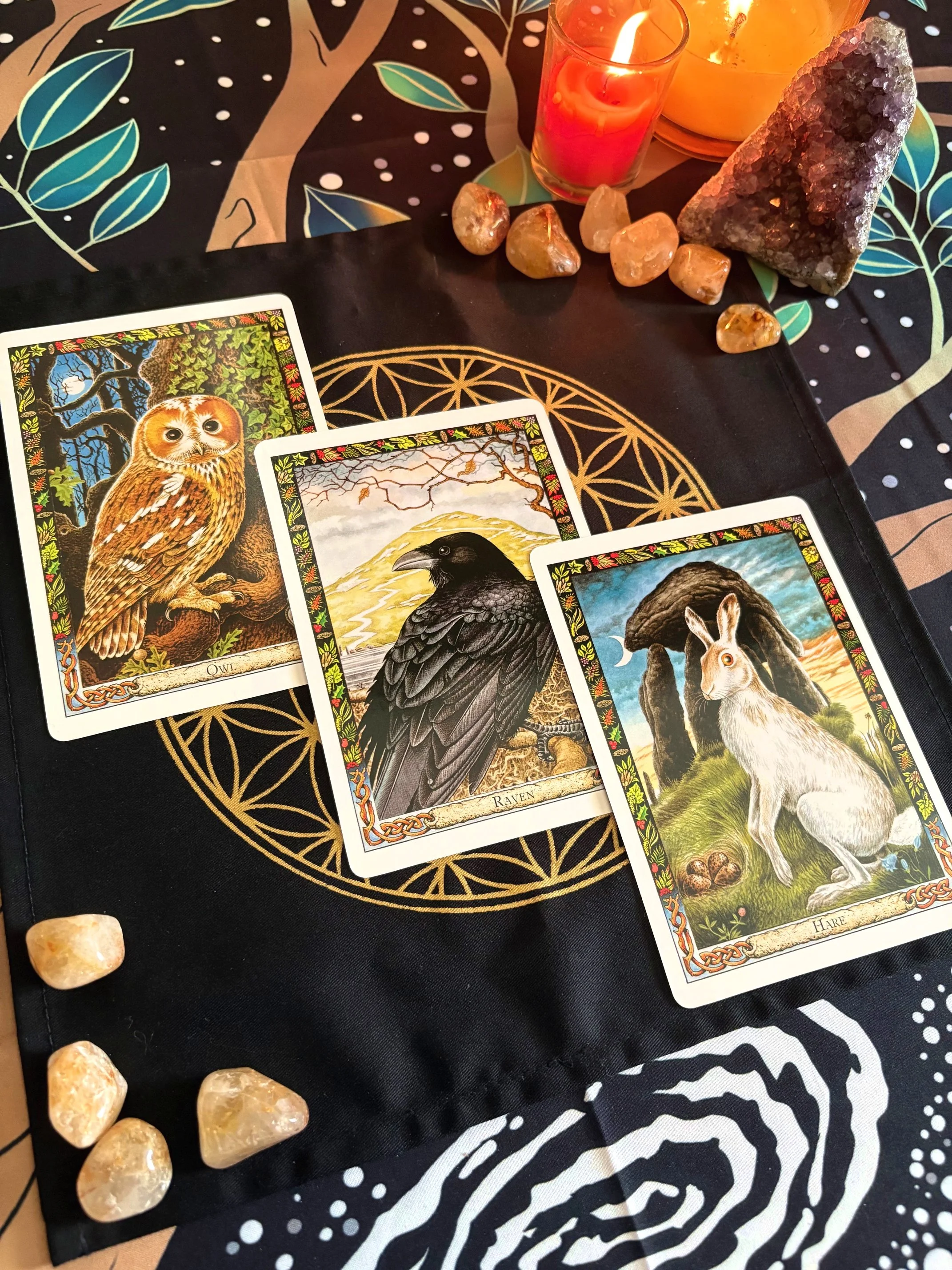 oracle readings listing.jpg