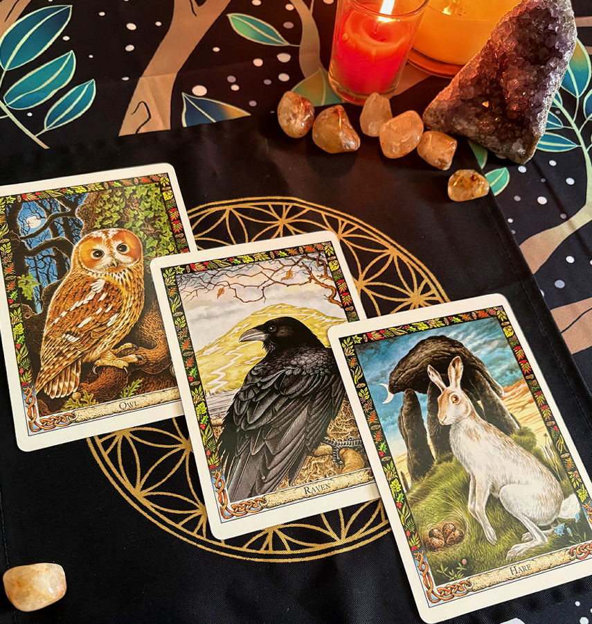 Three animal tarot cards displayed on a dark cloth with gold and colorful patterns, surrounded by crystals, candles, and a large amethyst geode.
