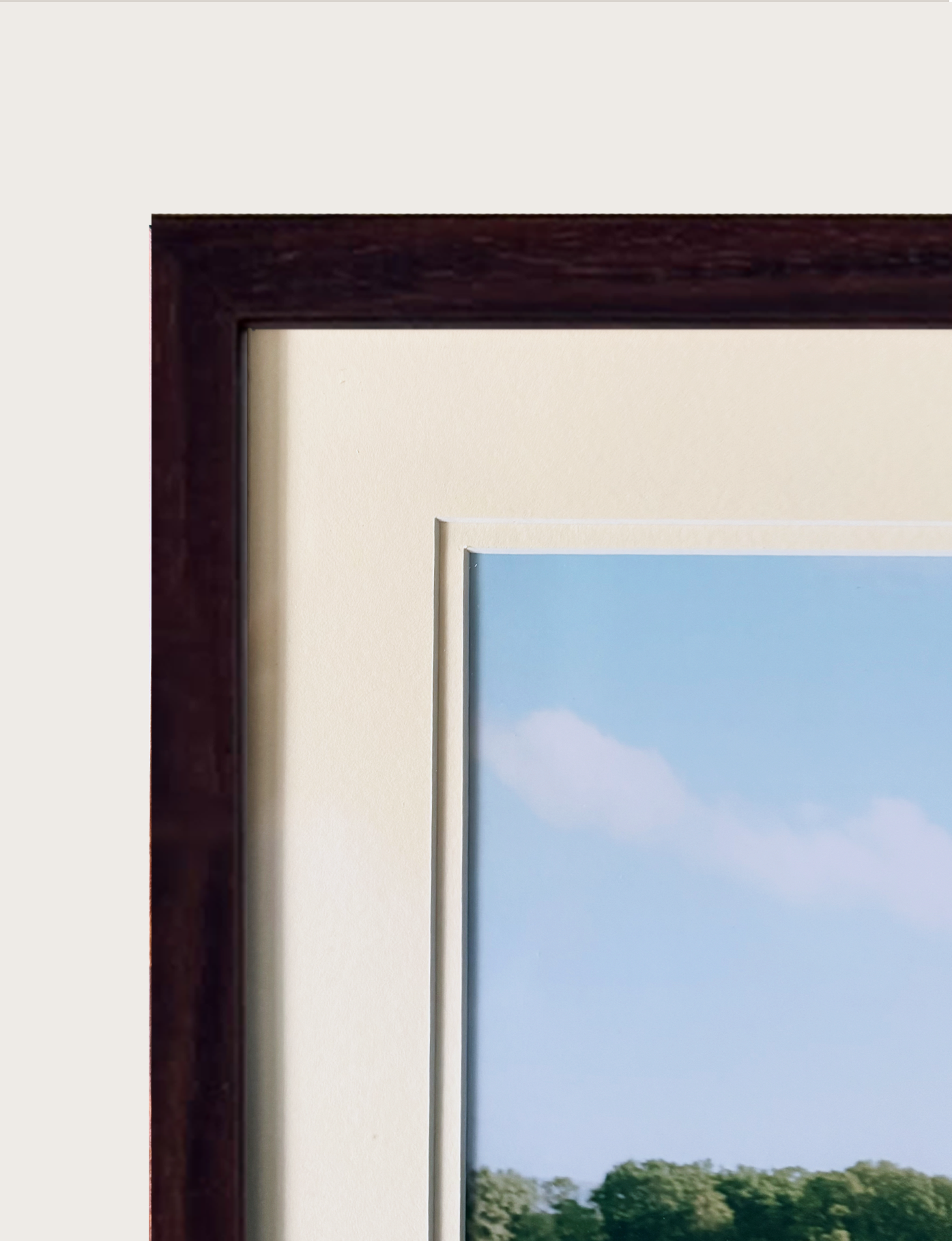 DOUBLE MOUNT_Classic Dark Walnut (SKANE).png
