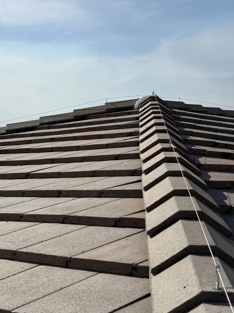 Bird wire along a roof ridge