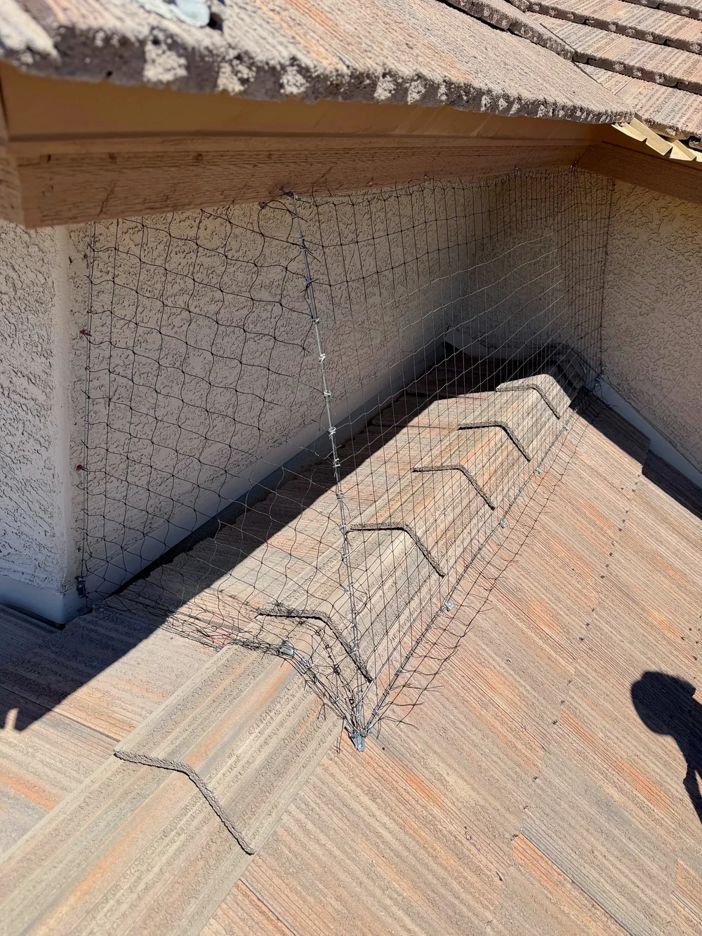 Bird netting closing off a shaded roof eave above clay roof tiles.