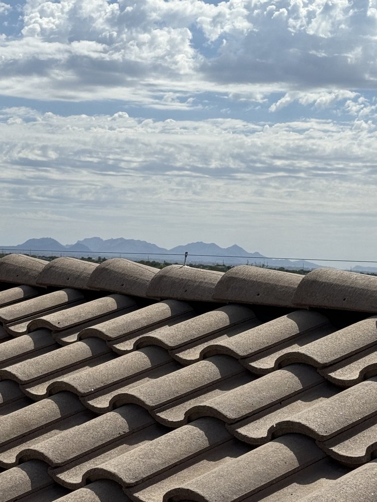 Bird deterrents on a tile roof