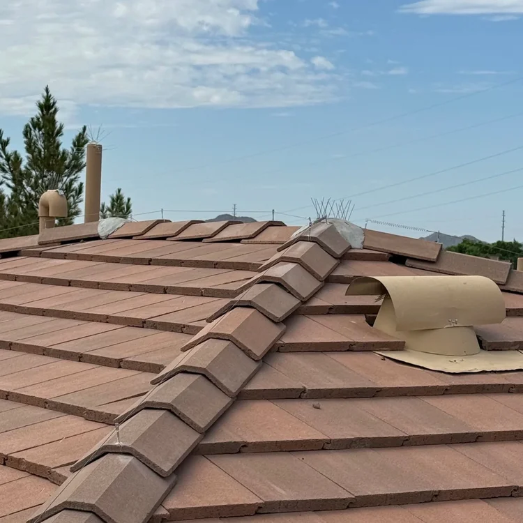 Bird proofing around roof details