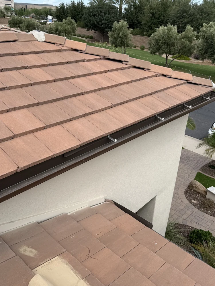 Protection along the roofline