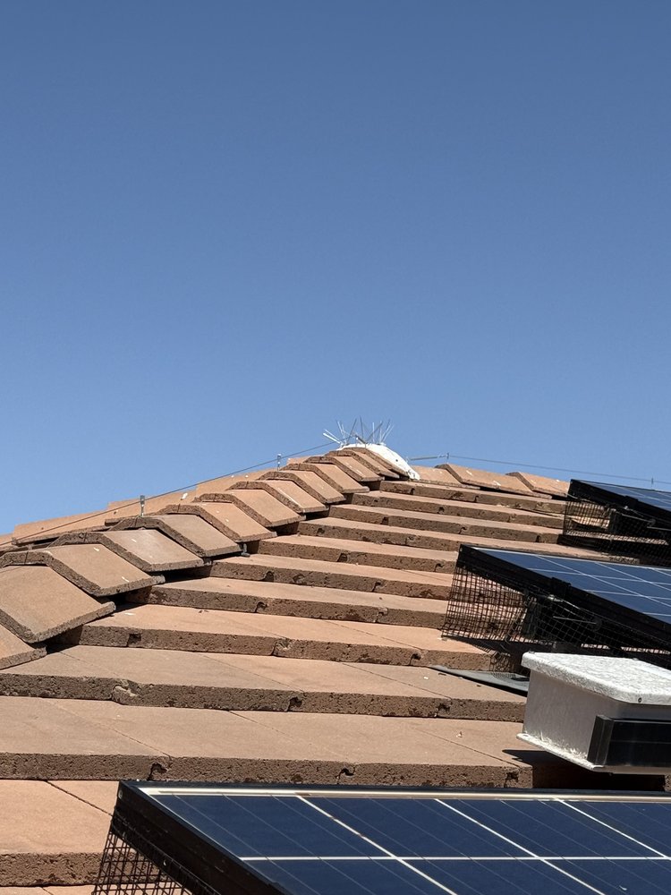 Solar panel bird guard installation