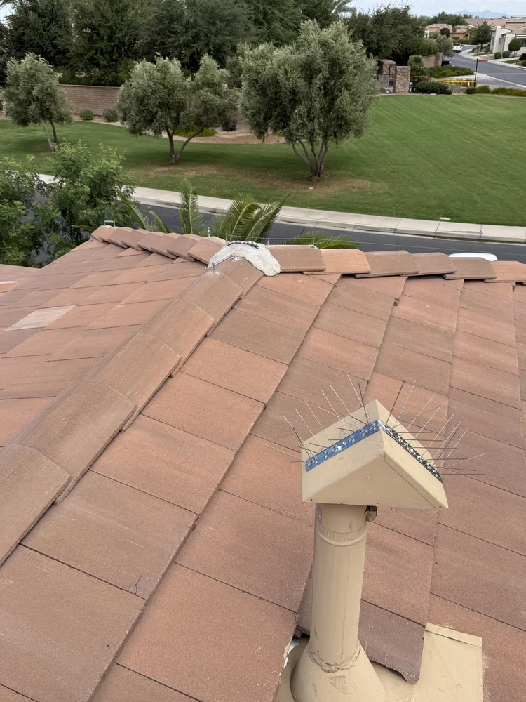 Bird protection around a roof vent