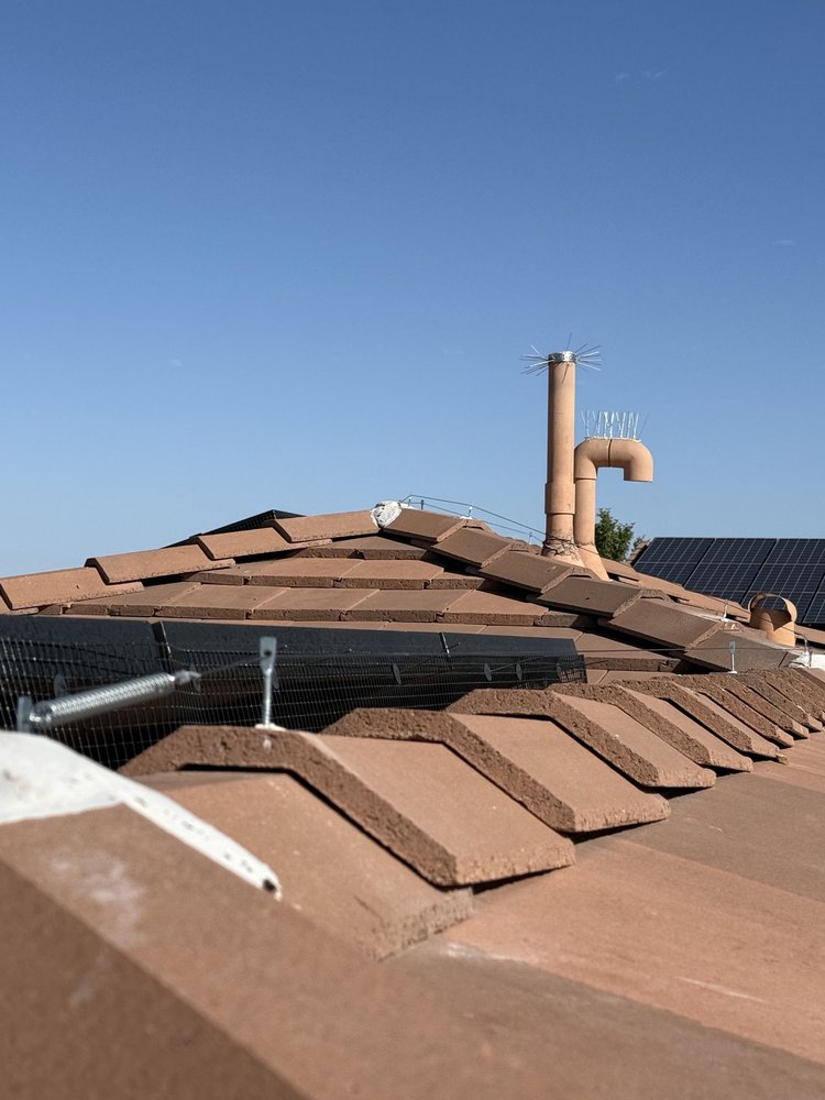 Roofline bird deterrents