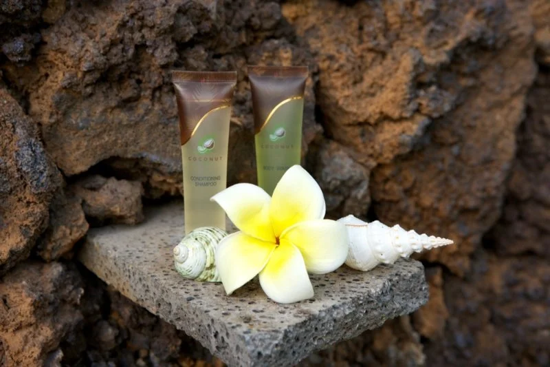 Two bottles of coconut shampoo placed on a concrete ledge, with a tropical flower and seashells in front of a textured stone background.
