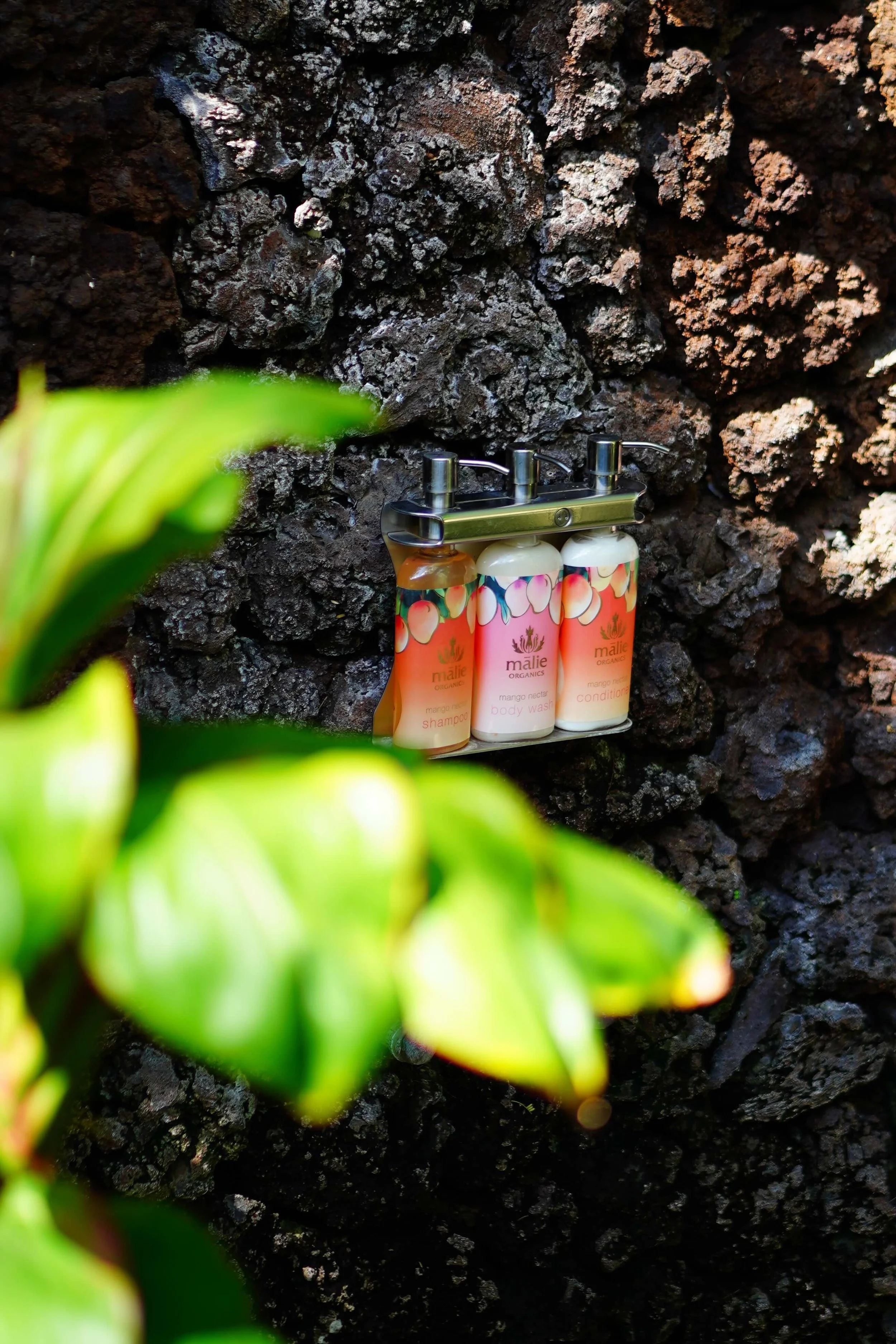 Travel-sized toiletry bottles, including shampoo, body wash, and conditioner, mounted on a metal rack against a rough volcanic rock wall, with blurred green leaves in the foreground.