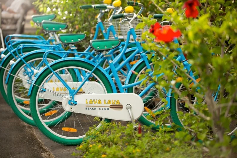 A row of blue bicycles with white and green seats lined up on a sidewalk near green bushes with red flowers.