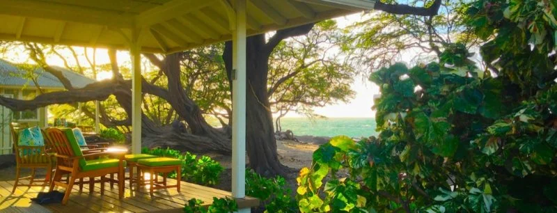 Porch with outdoor furniture overlooking a beach, with trees and bushes surrounding the area.