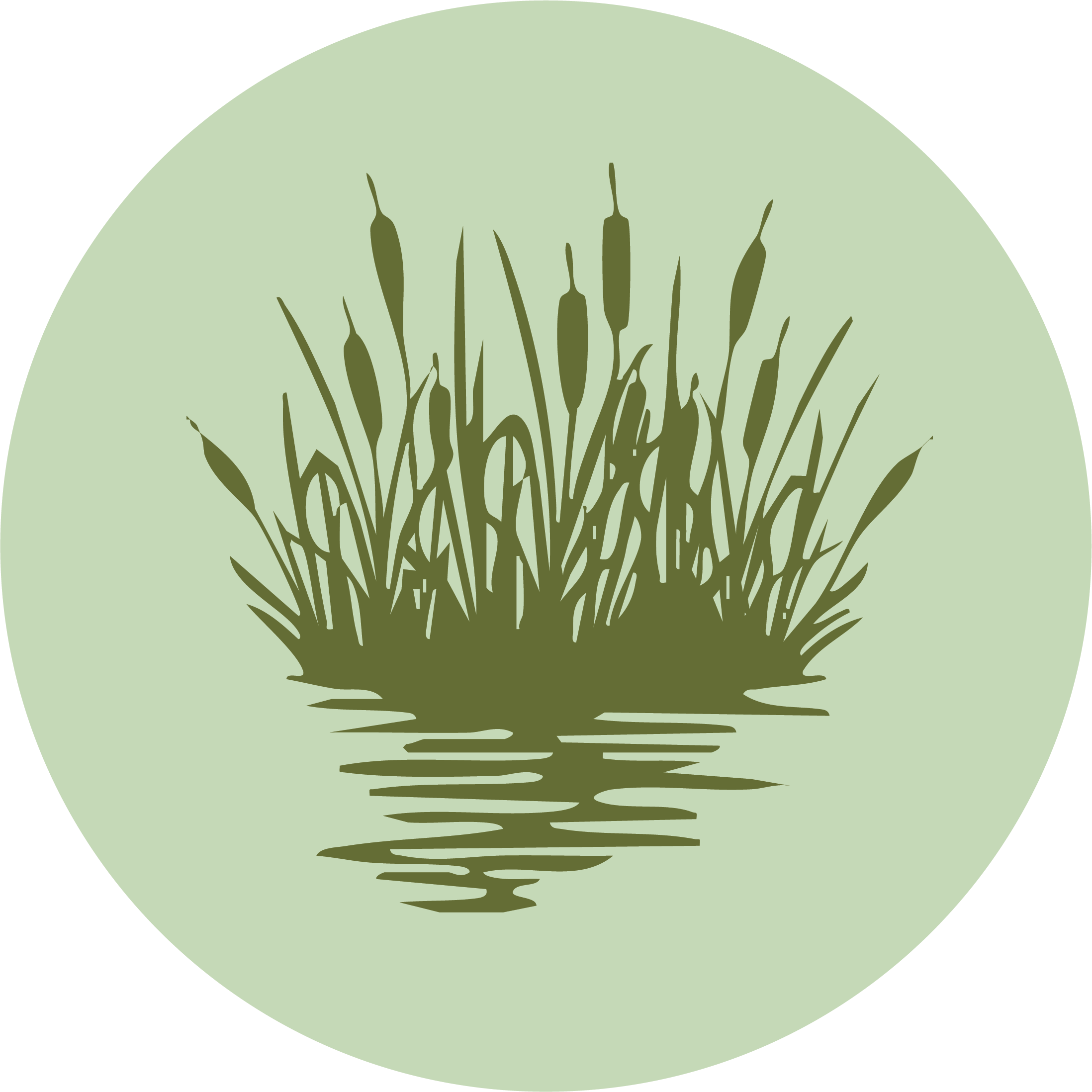 Silhouette of tall grass growing in water with reflections, enclosed in a light green circle.