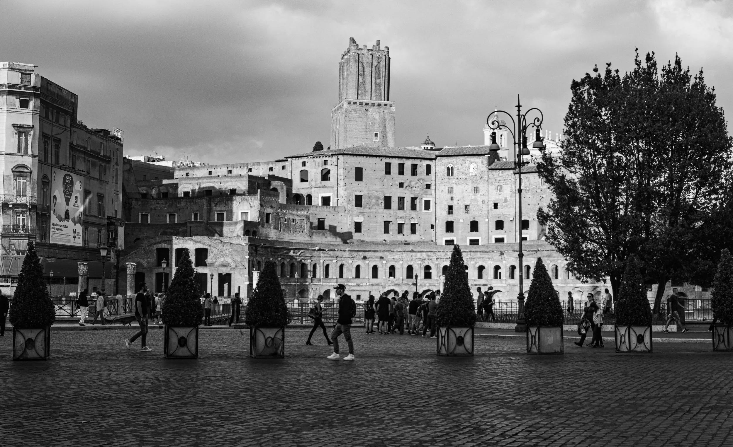 DSC_4022.jpg