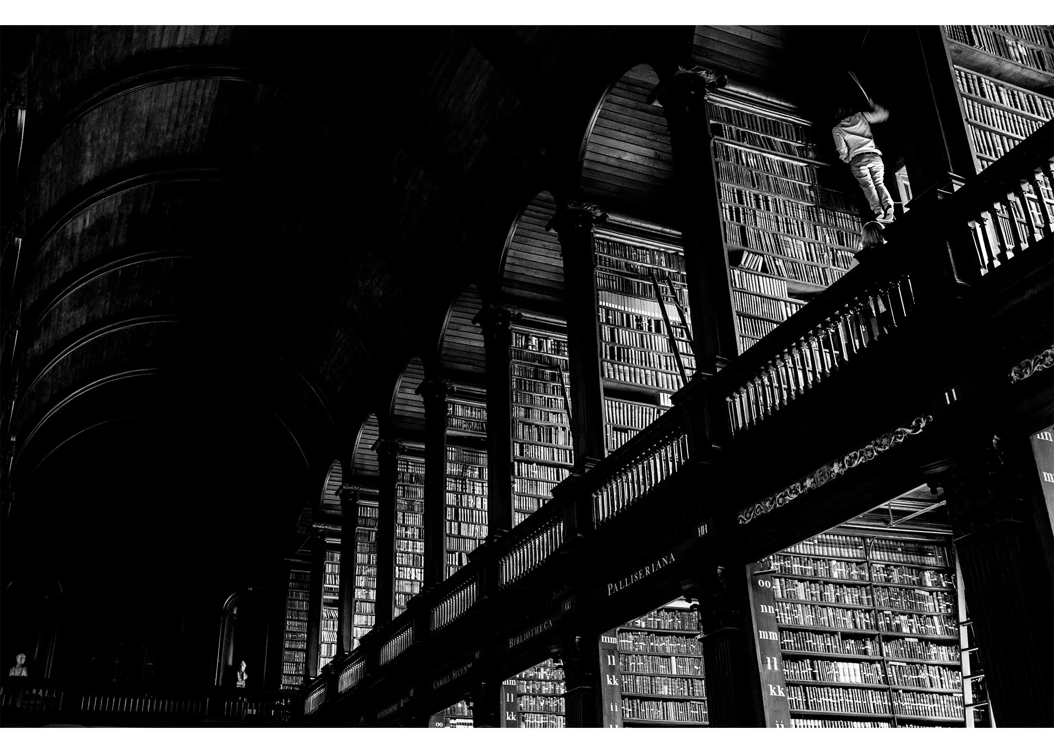 Library Man.jpg