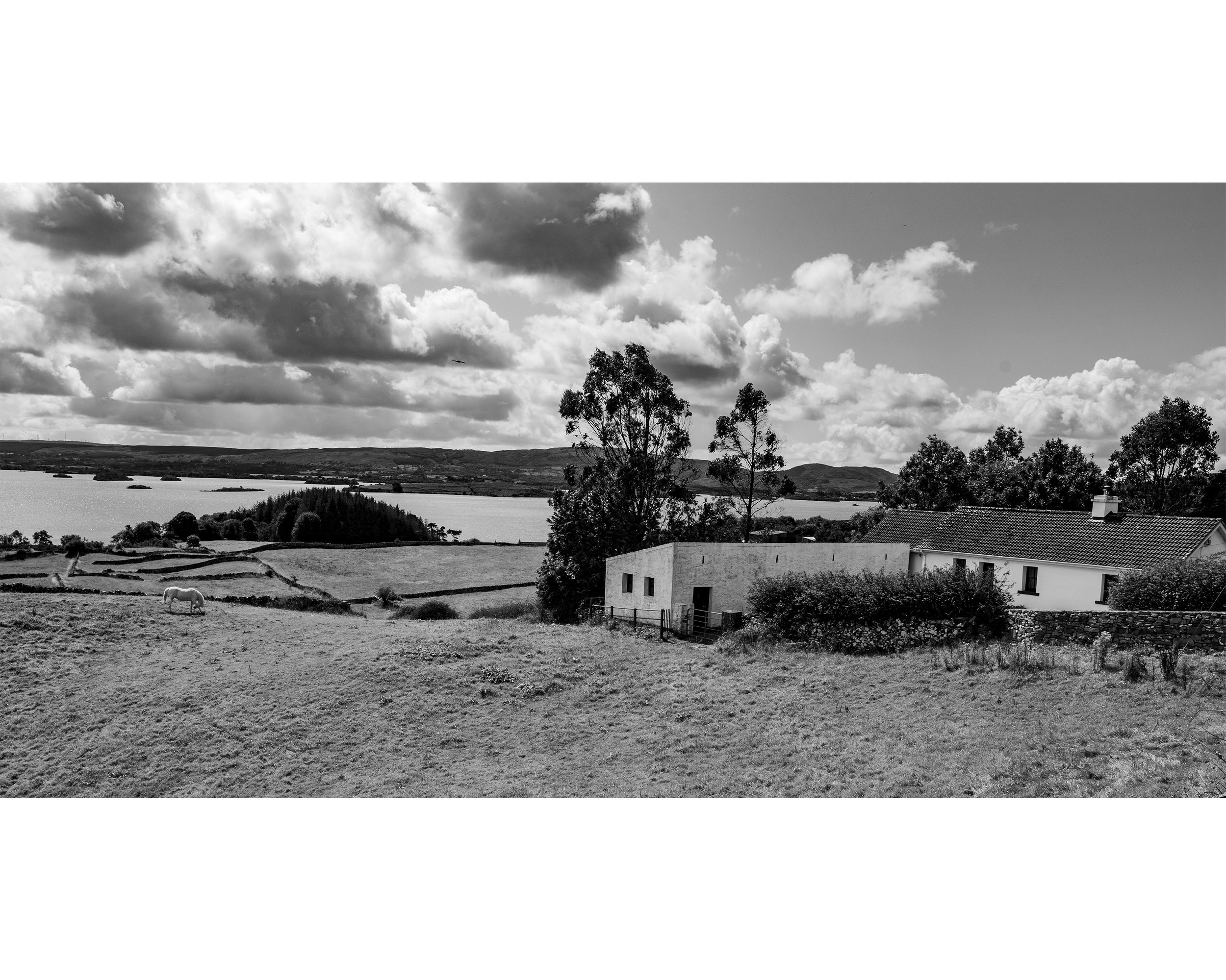 Irish Horse and House B&W.jpg