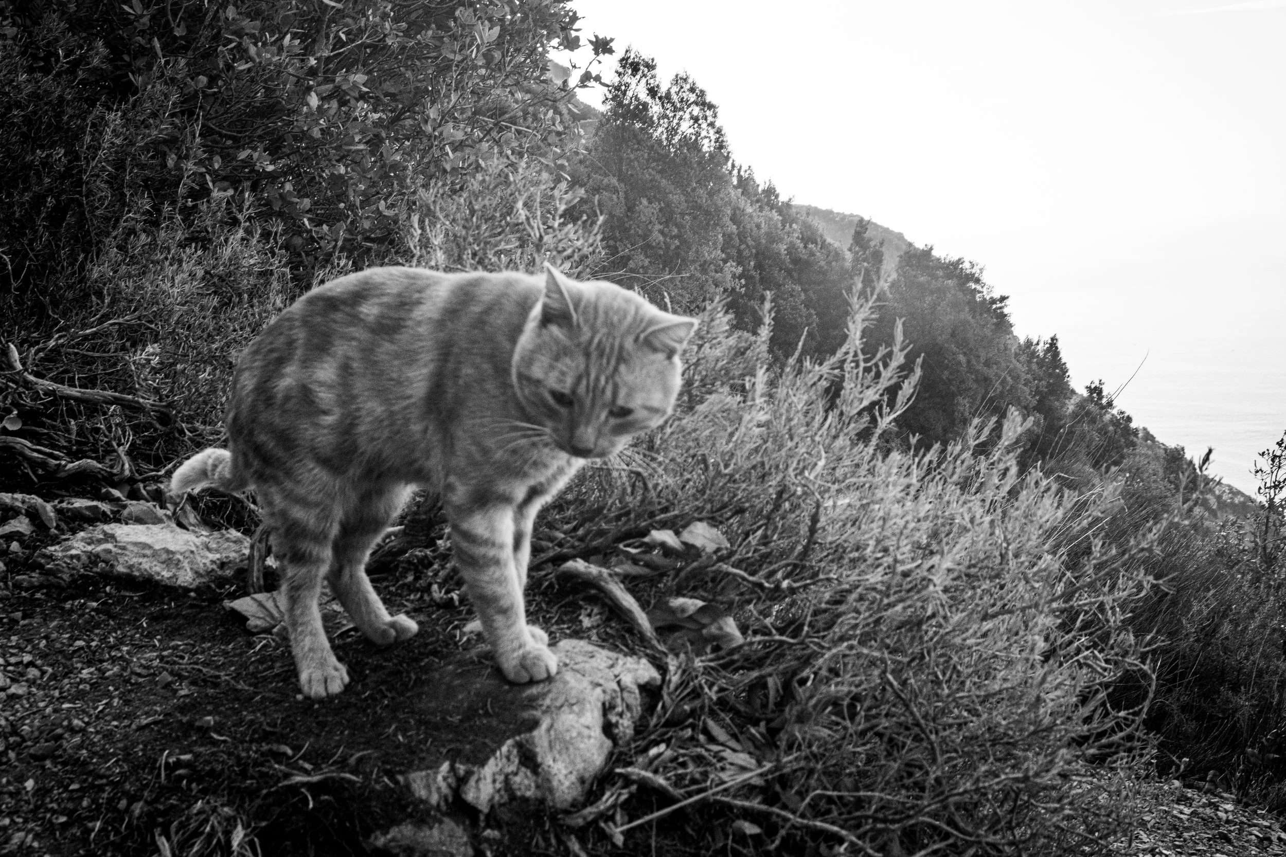 DSC_4049.jpg