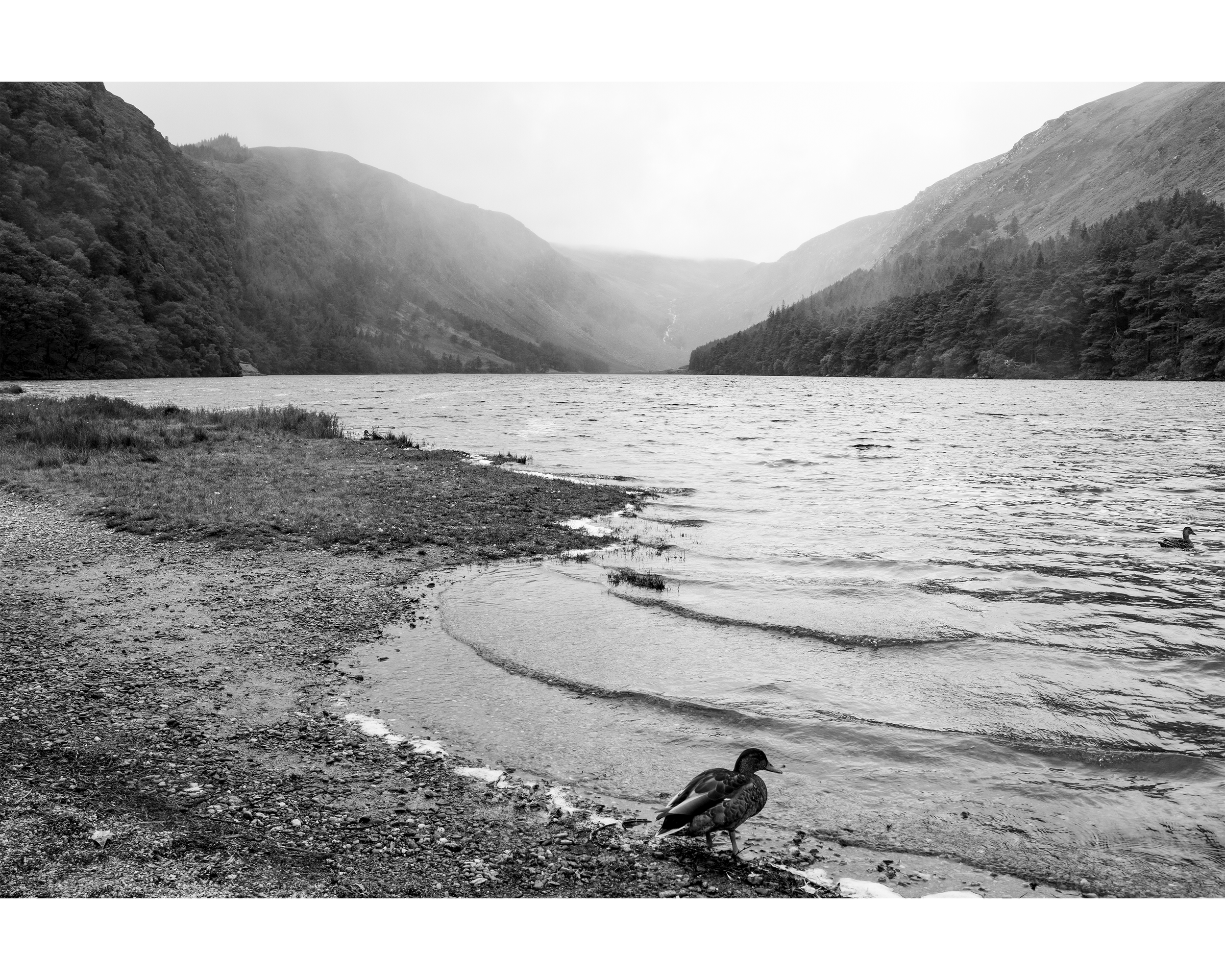 Irish Mountain B&W.png
