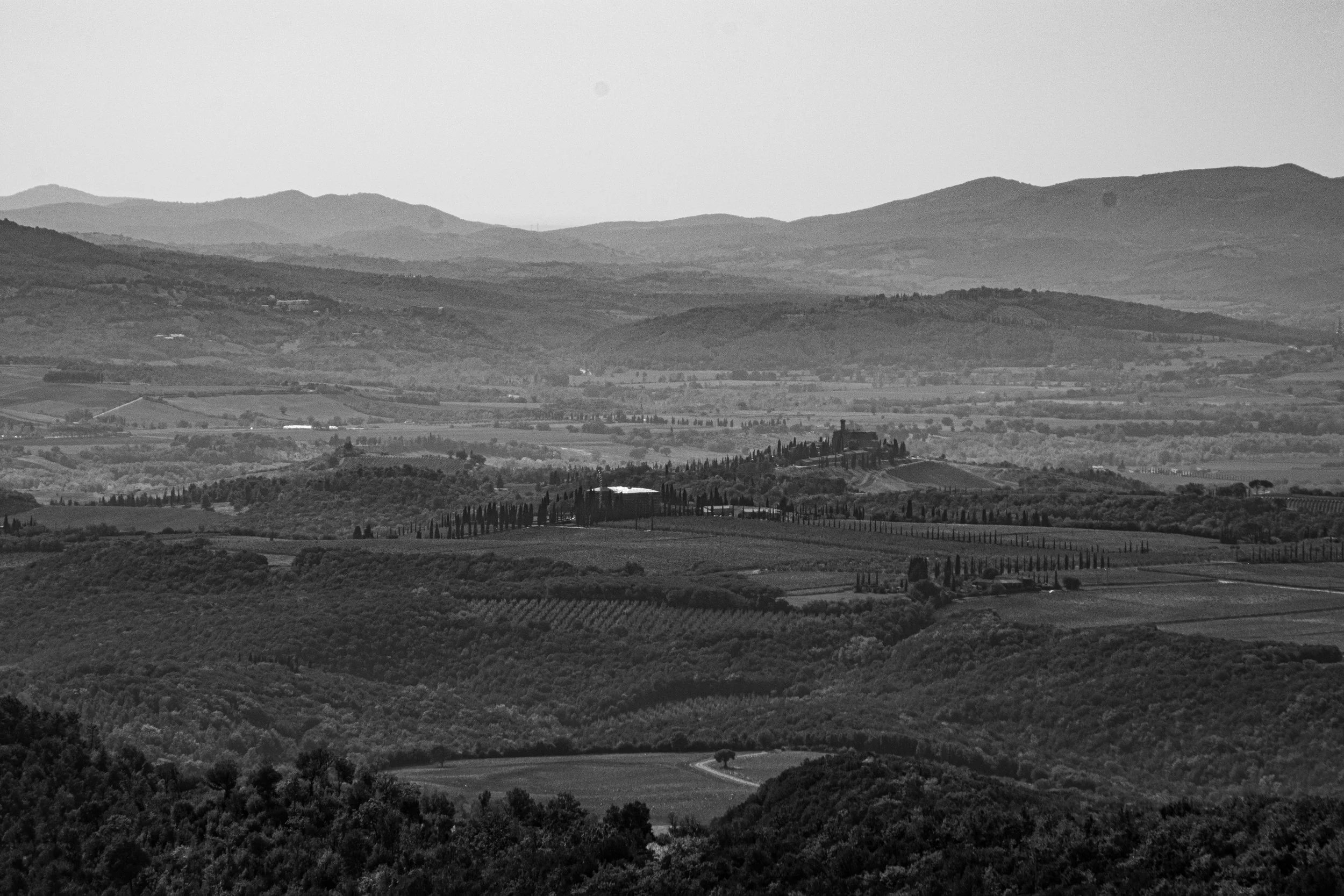 DSC_3705.jpg