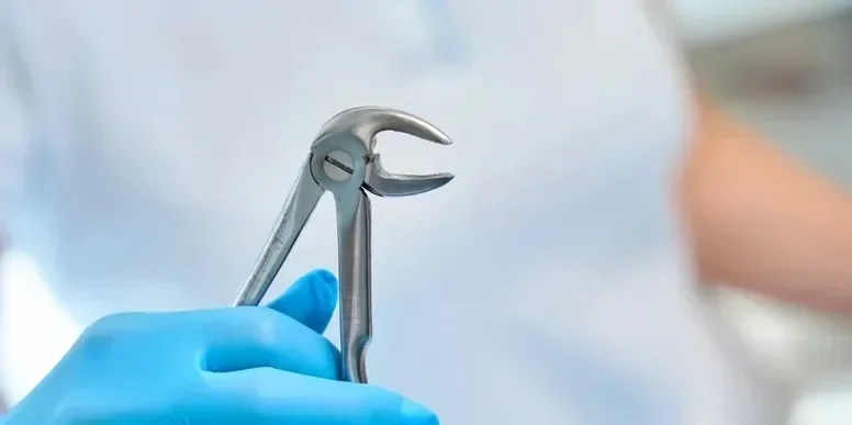 Picture of a hand holding dental forceps..
