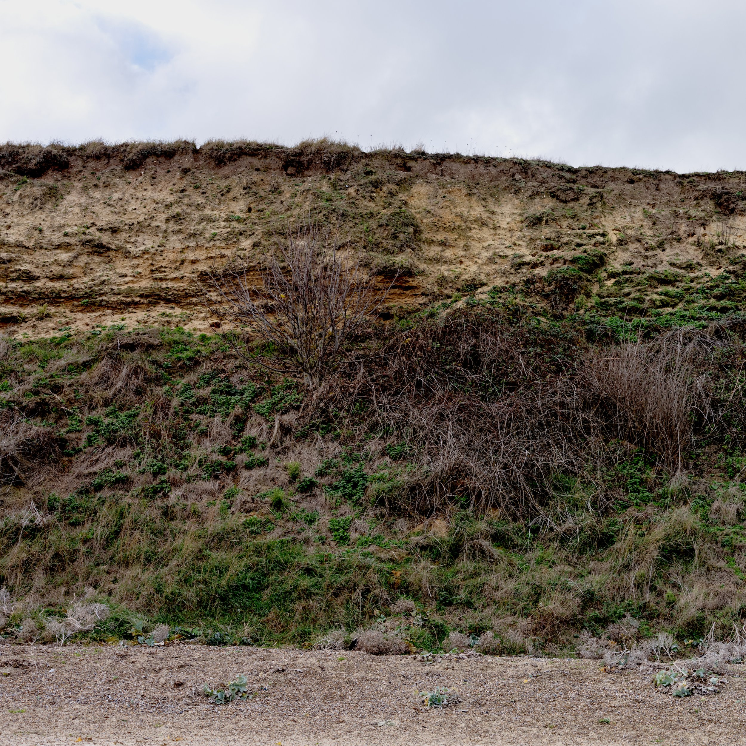 Dunwich 1_1.jpg