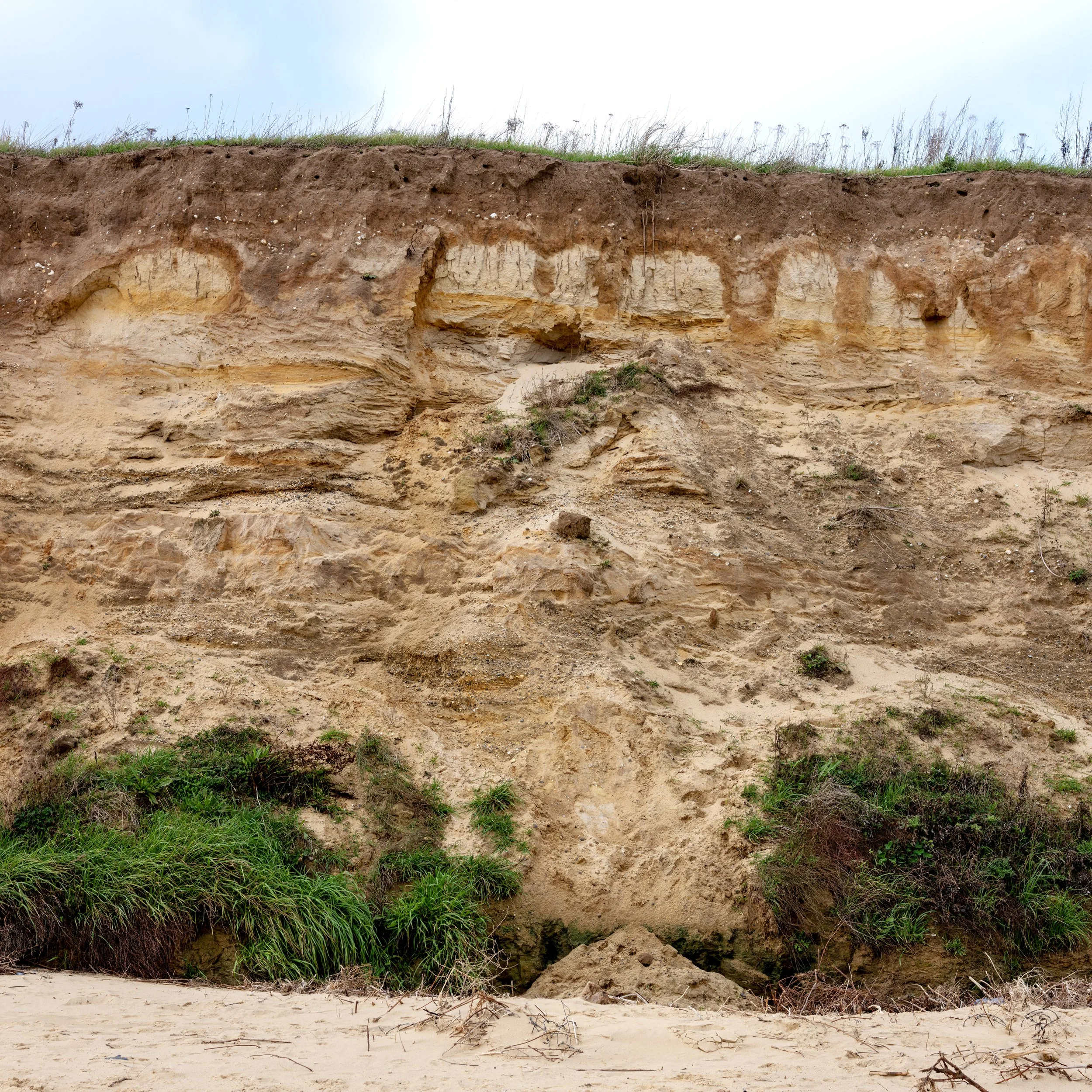 Covehithe 2_1.jpg