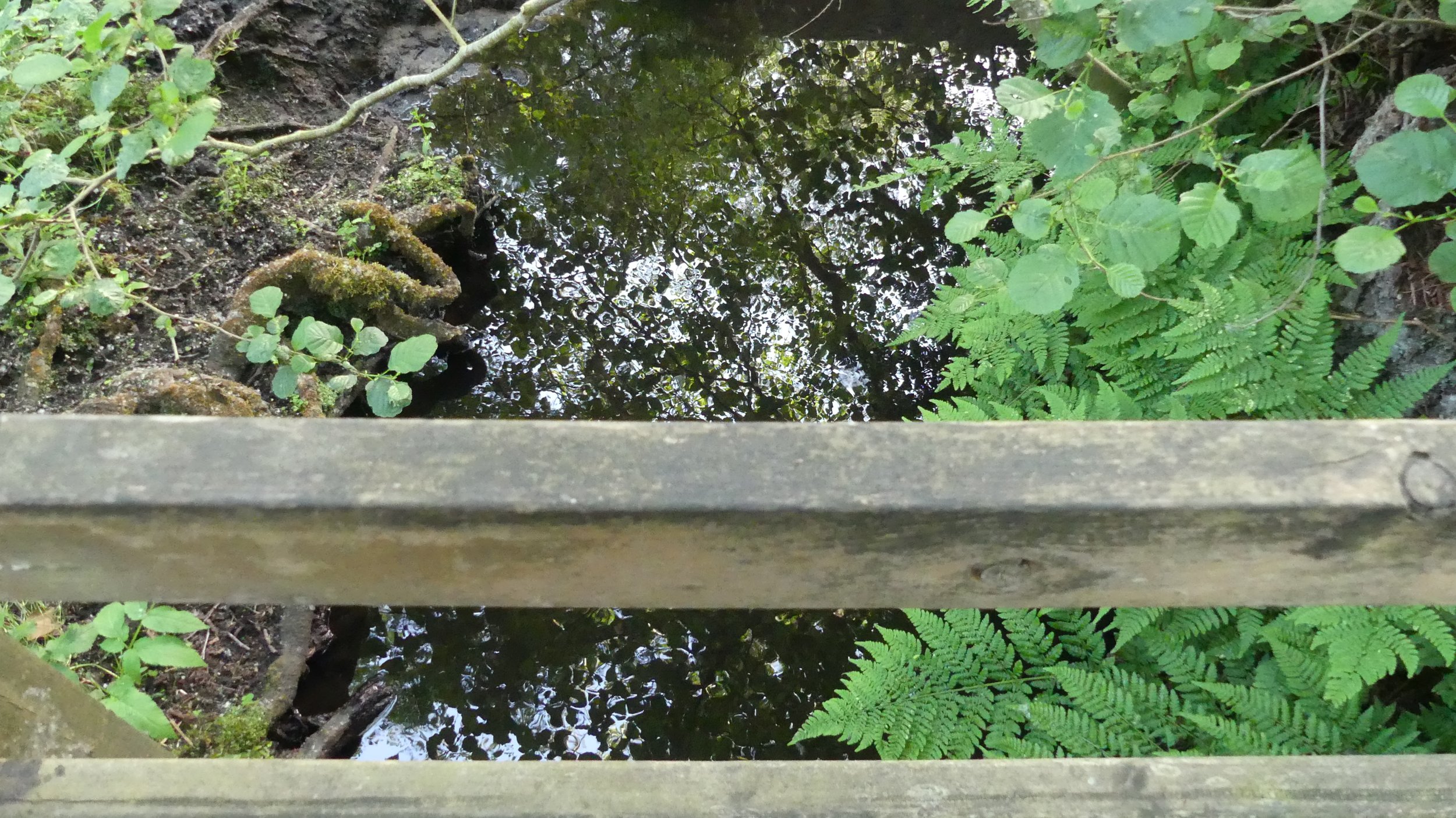 Pooh Bridge 3.jpg