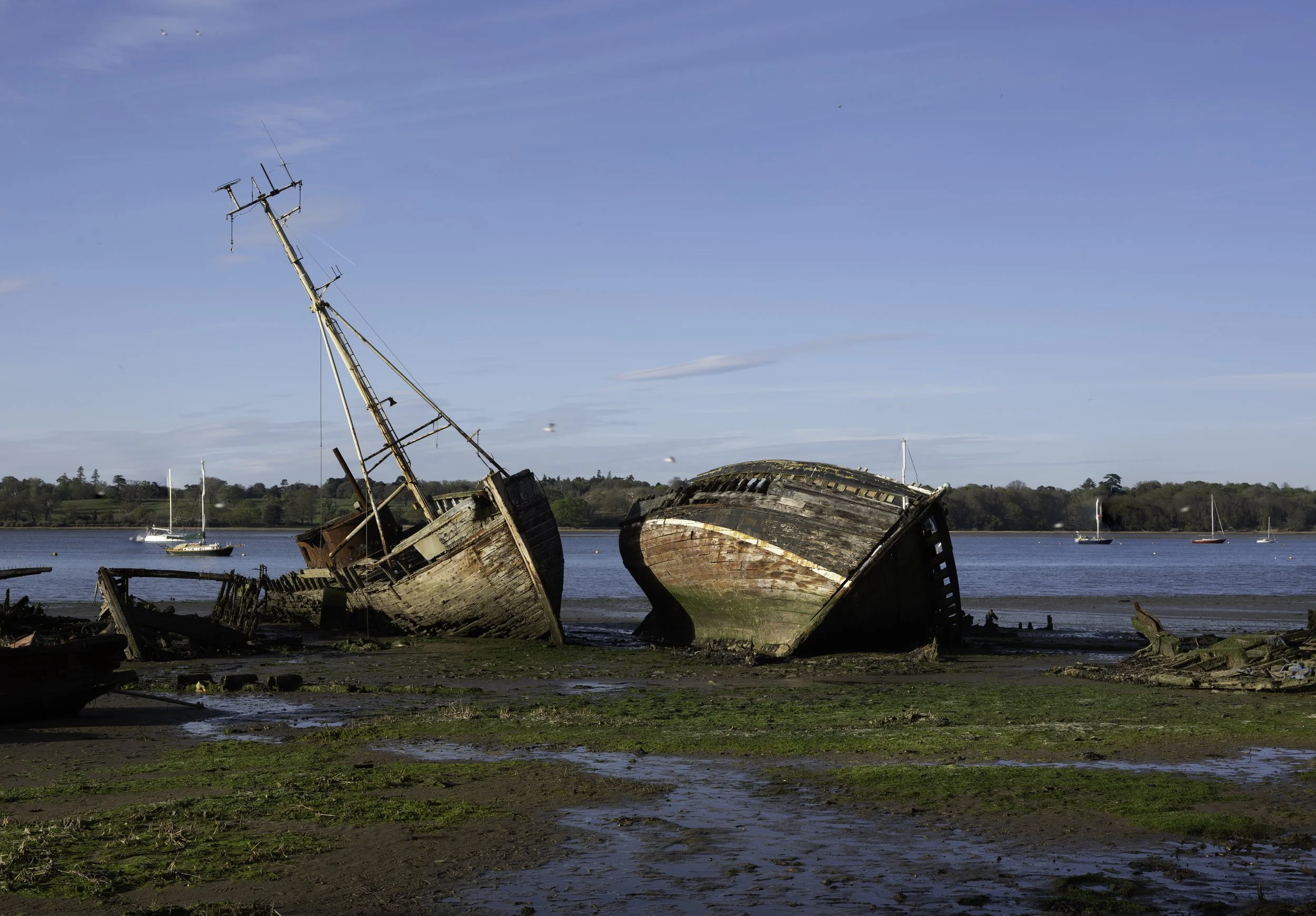 wreck 3.jpg