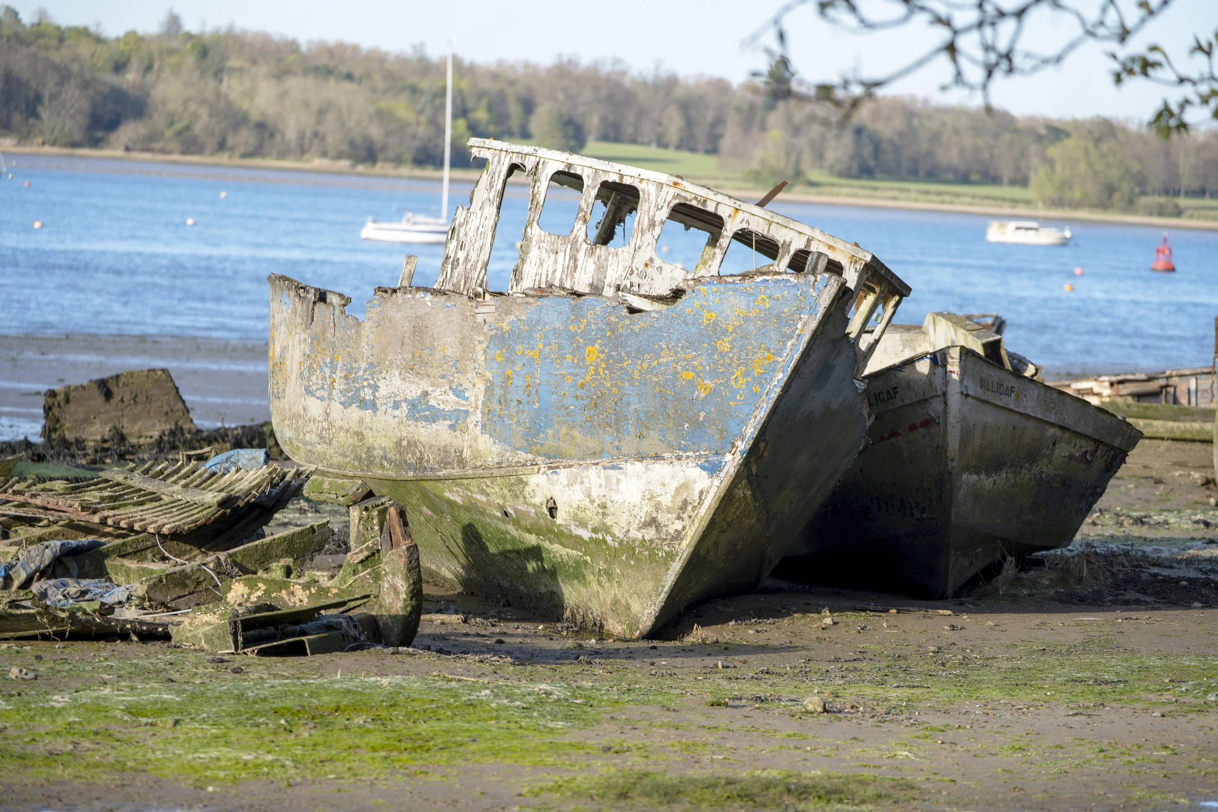 wreck 4.jpg