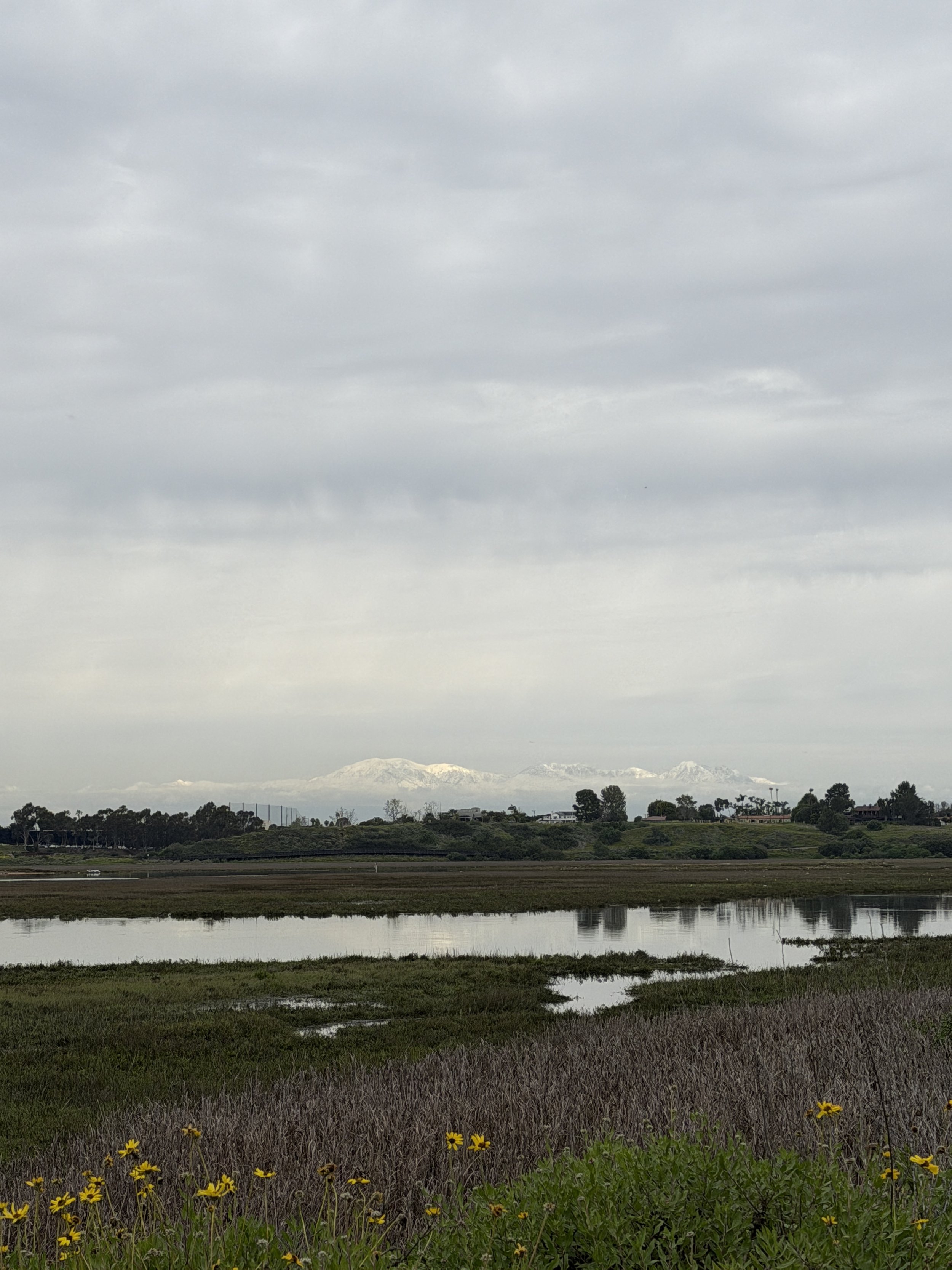 I See It in My Clients: Anxiety, Depression, and Staying With Discomfort