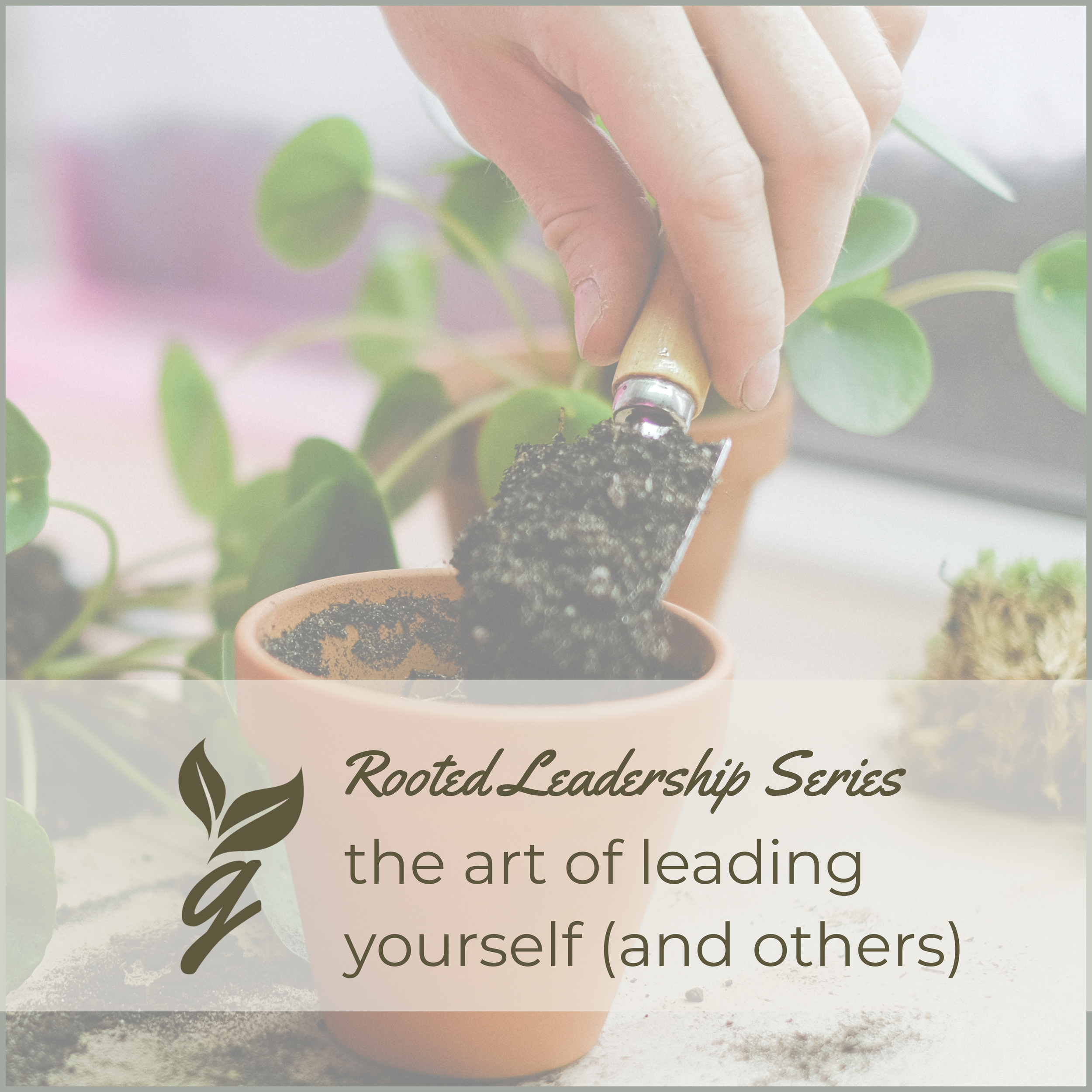 Rooted: The Art of Leading Yourself and Others