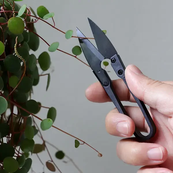 pruner.webp